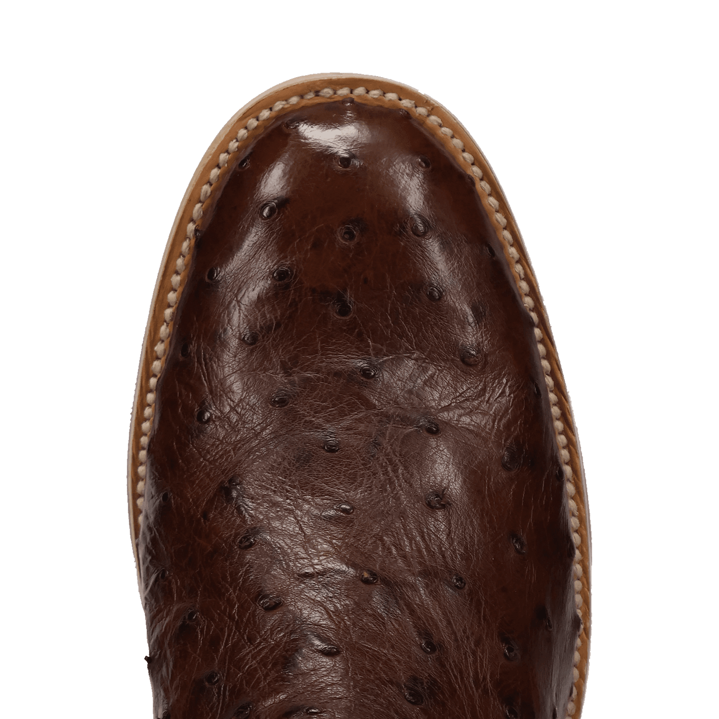 Dan Post Ardor Full Quill Ostrich Boot
