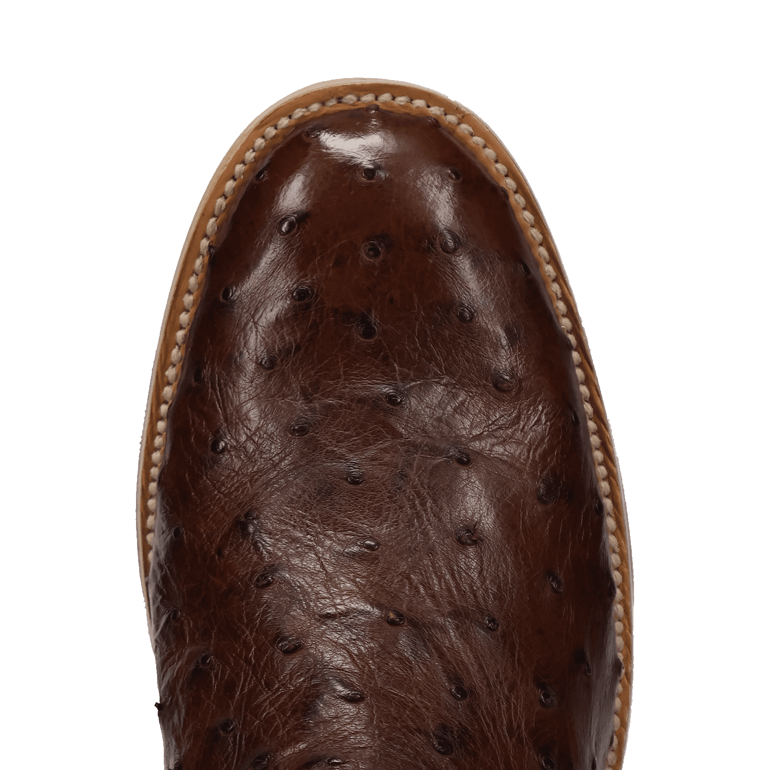 Dan Post Ardor Full Quill Ostrich Boot