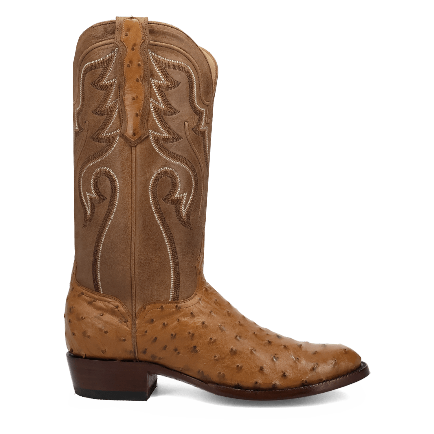 Dan Post Stanford Full Quill Ostrich Boot By Gld Label
