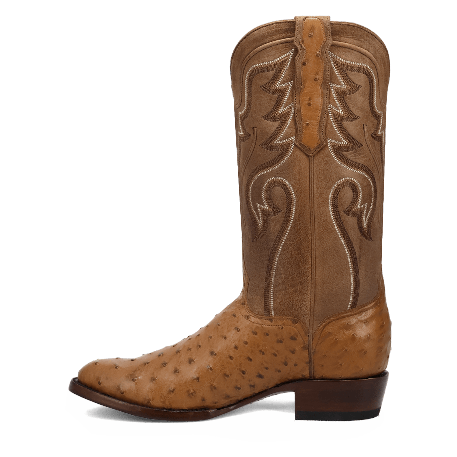 Dan Post Stanford Full Quill Ostrich Boot By Gld Label