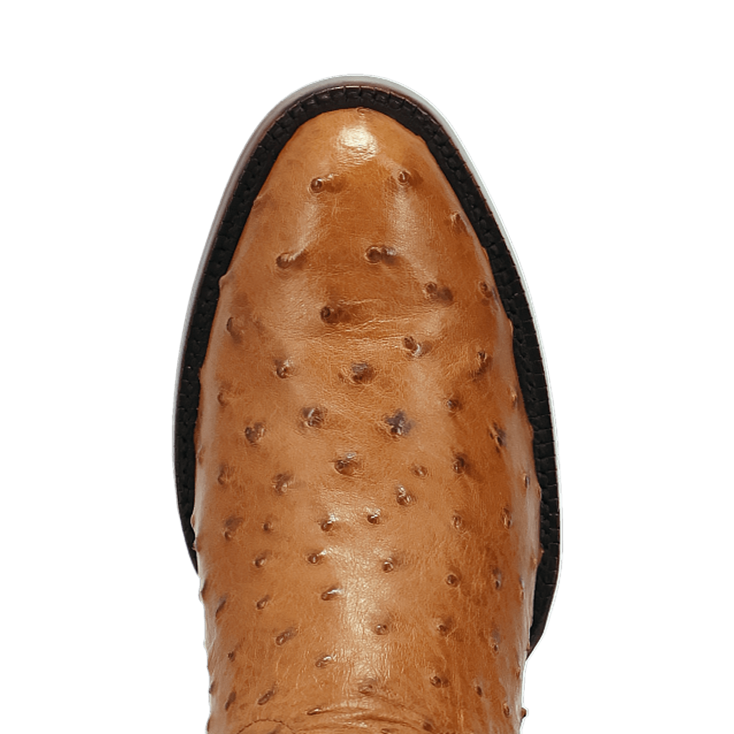 Dan Post Stanford Full Quill Ostrich Boot By Gld Label