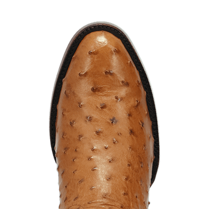 Dan Post Stanford Full Quill Ostrich Boot By Gld Label