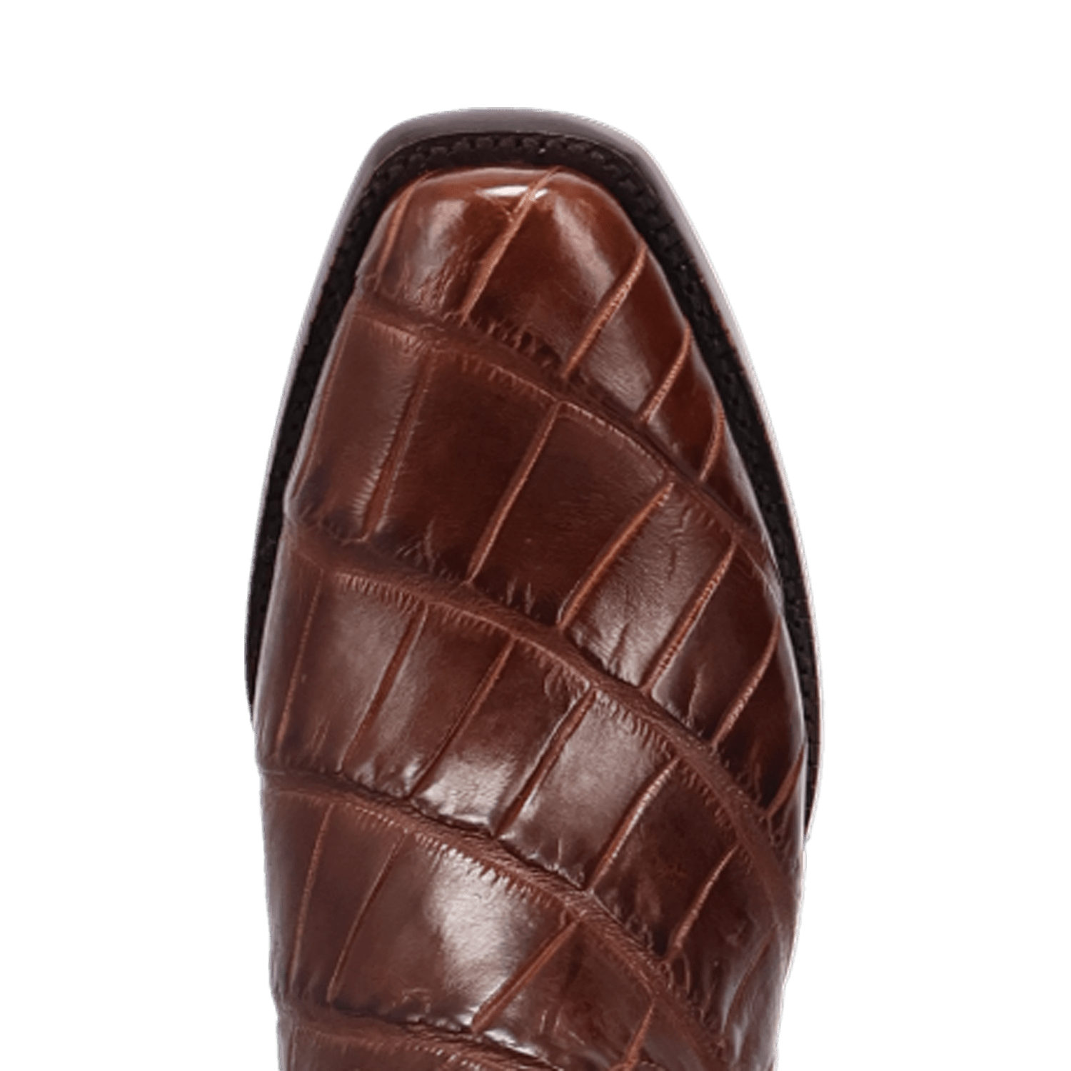 Dan Post Delano American Alligator Boot By Gld Label