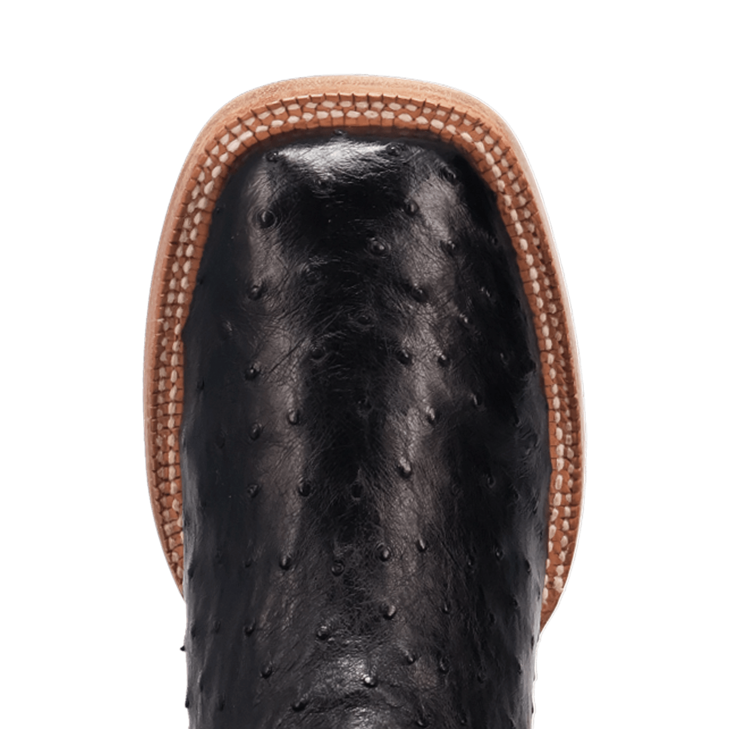 Dan Post Brannan Full Quill Ostrich Boot By Gld Label