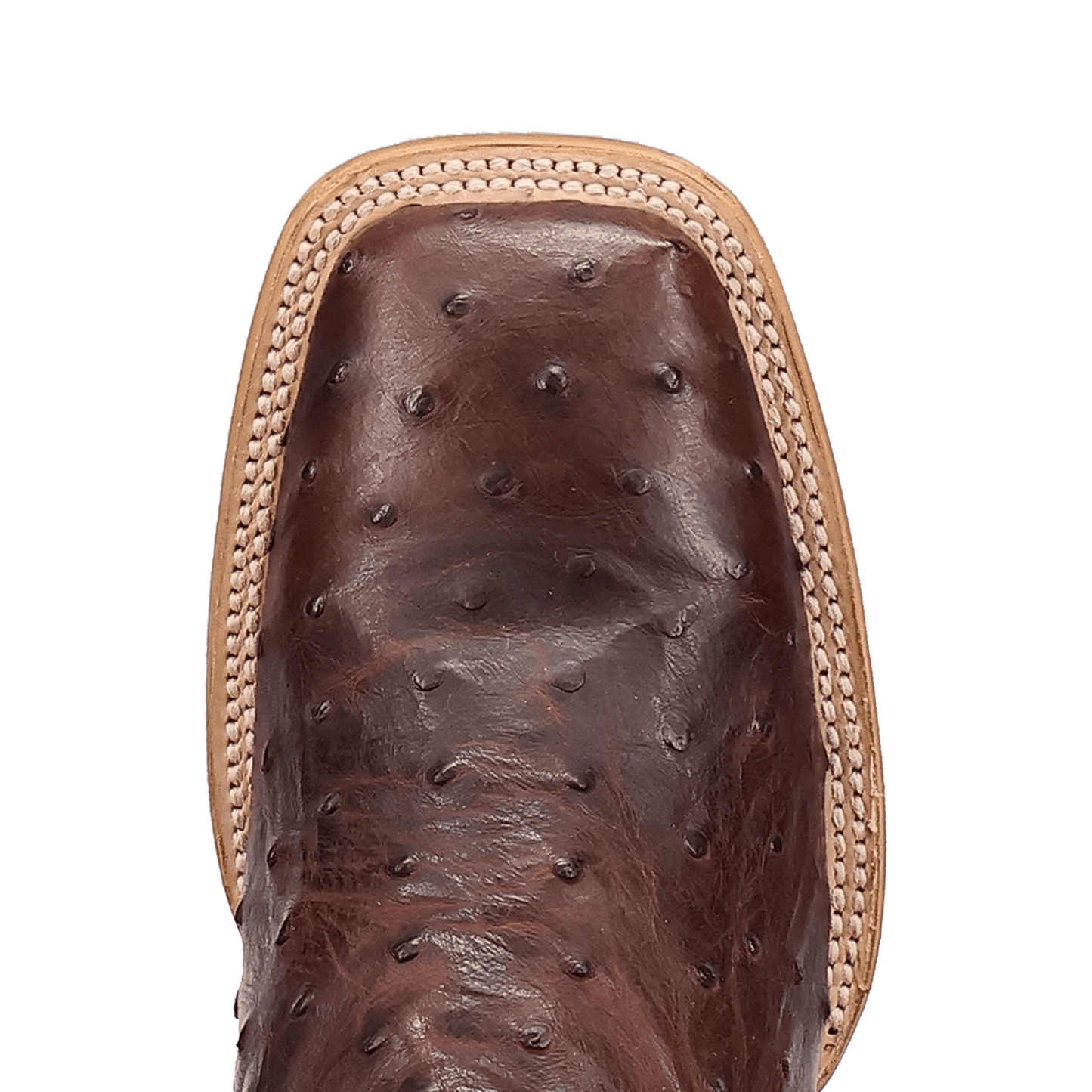 Dan Post Drayden Full Quill Ostrich Boot