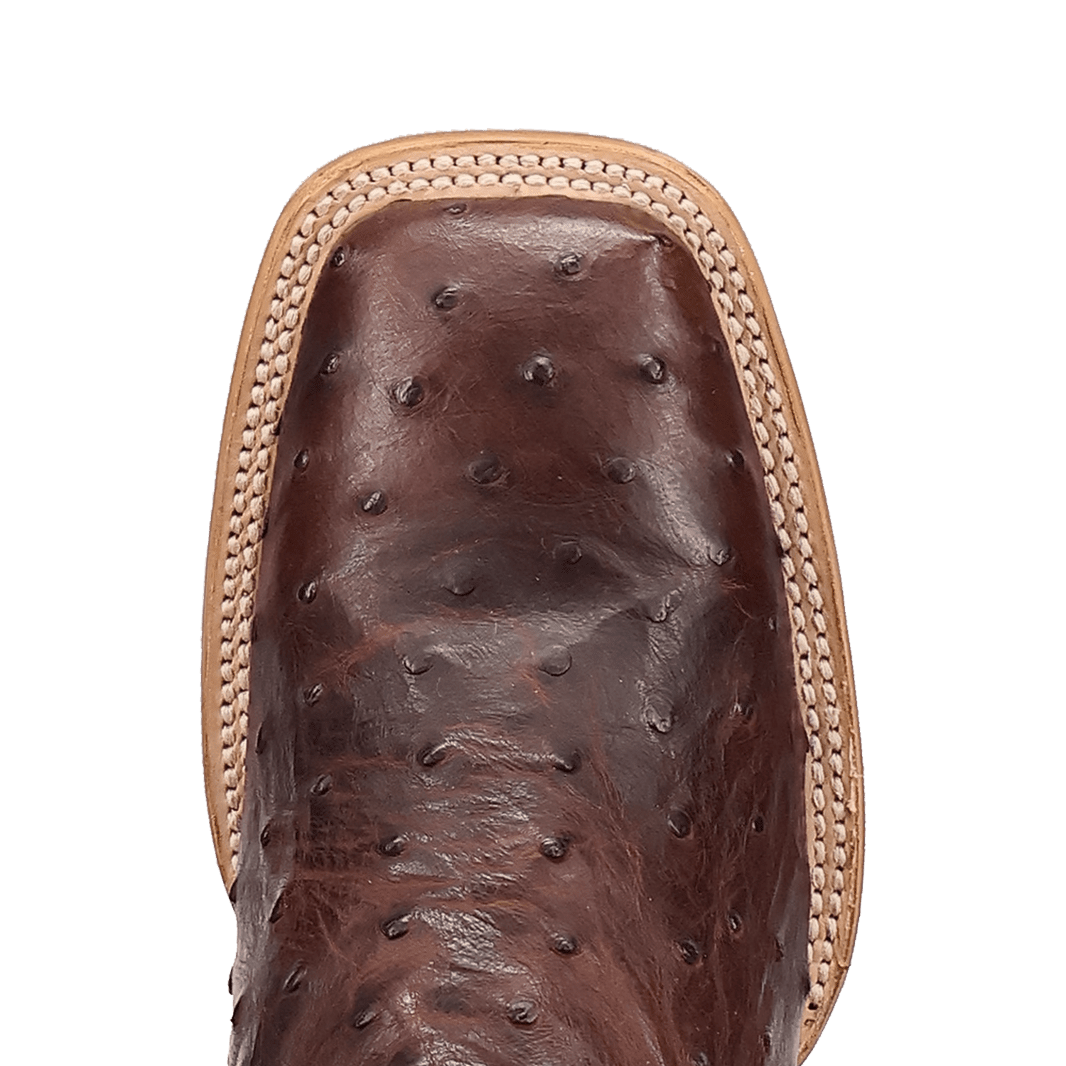 Dan Post Drayden Full Quill Ostrich Boot