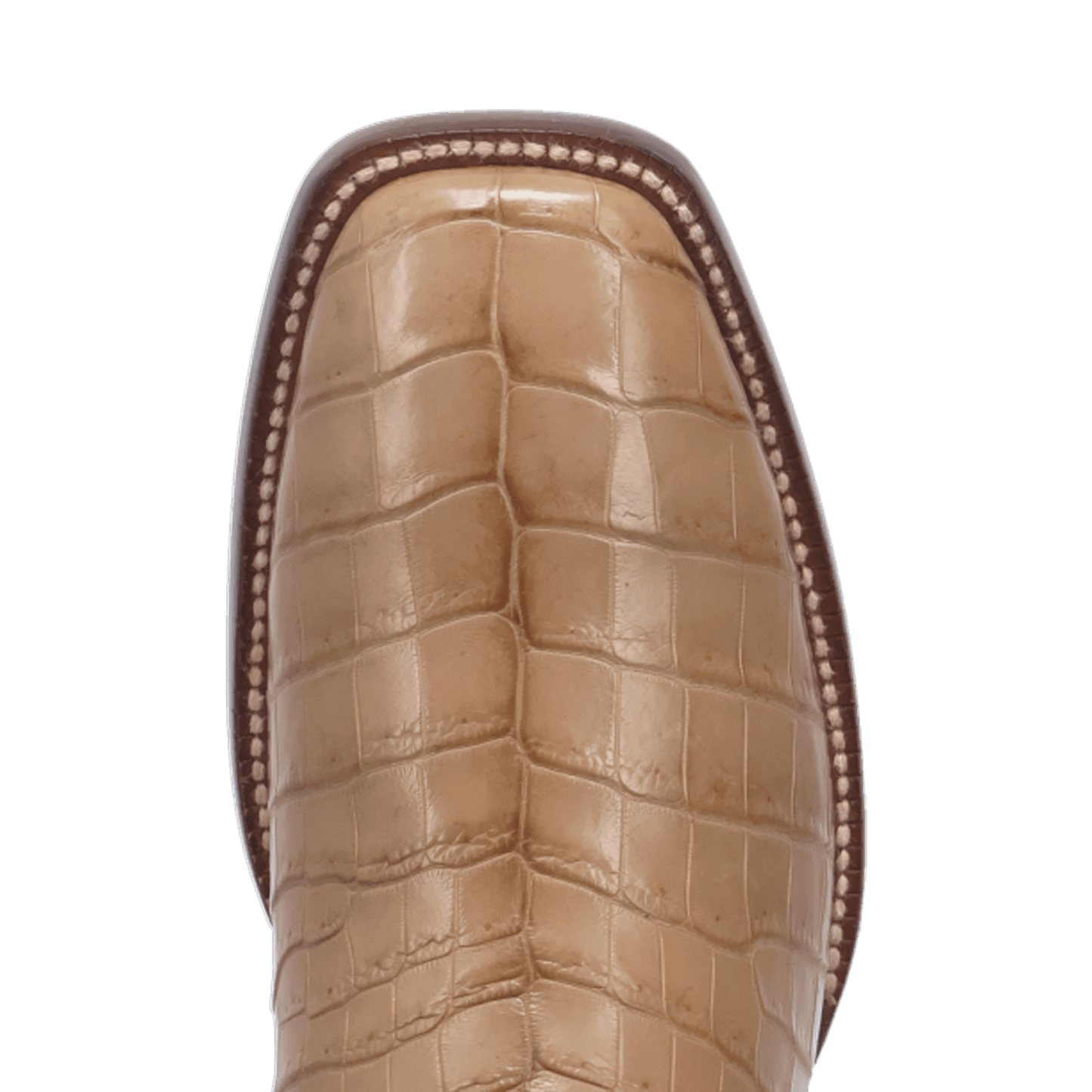 Dan Post Sutter Nile Crocodile Boot By Gld Label