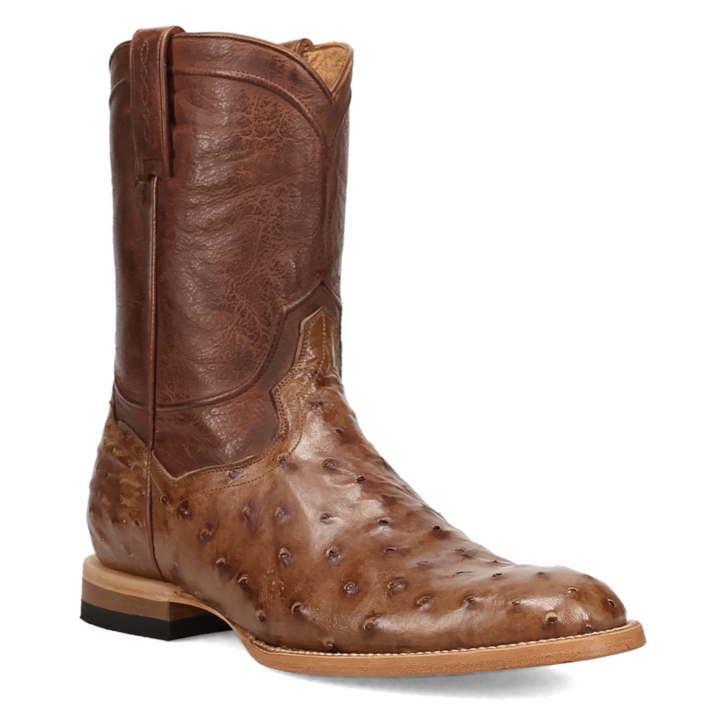 Dan Post Ardor Full Quill Ostrich Boot