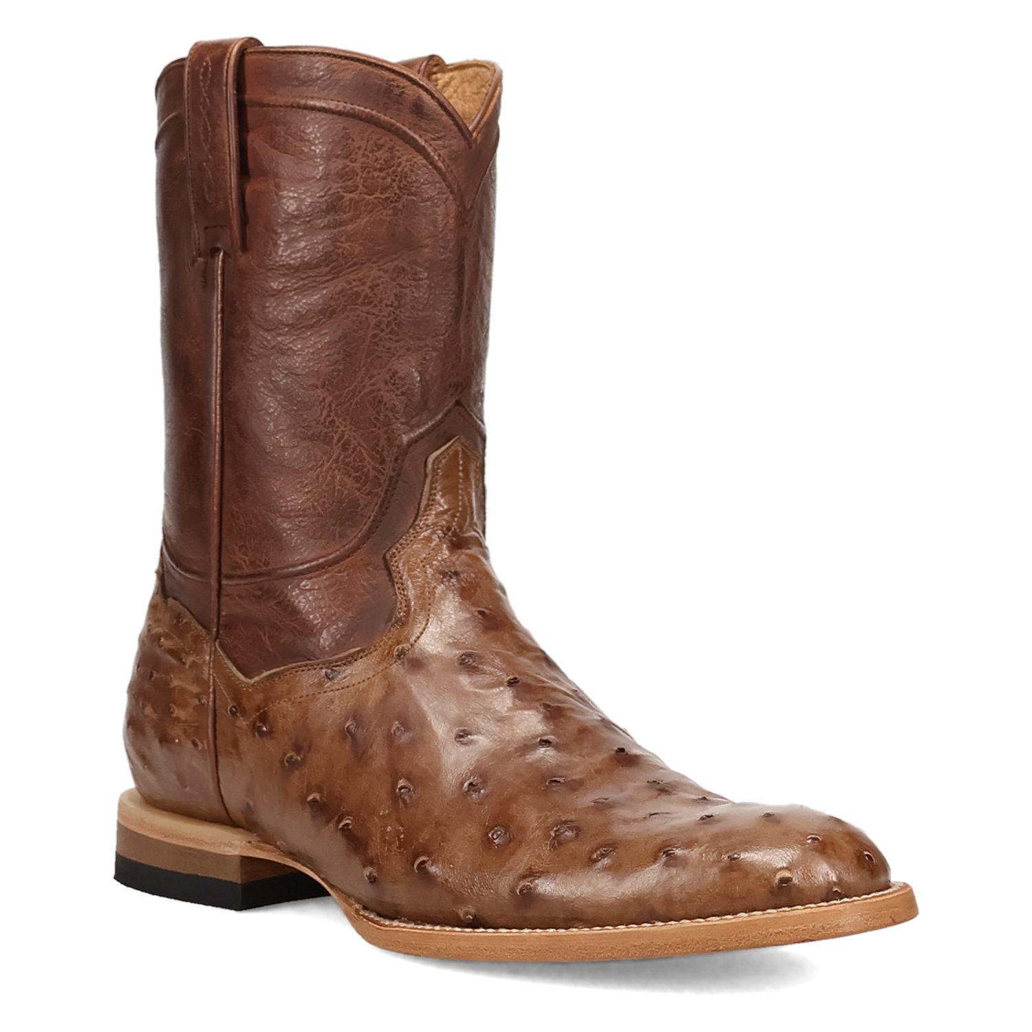 Dan Post Ardor Full Quill Ostrich Boot