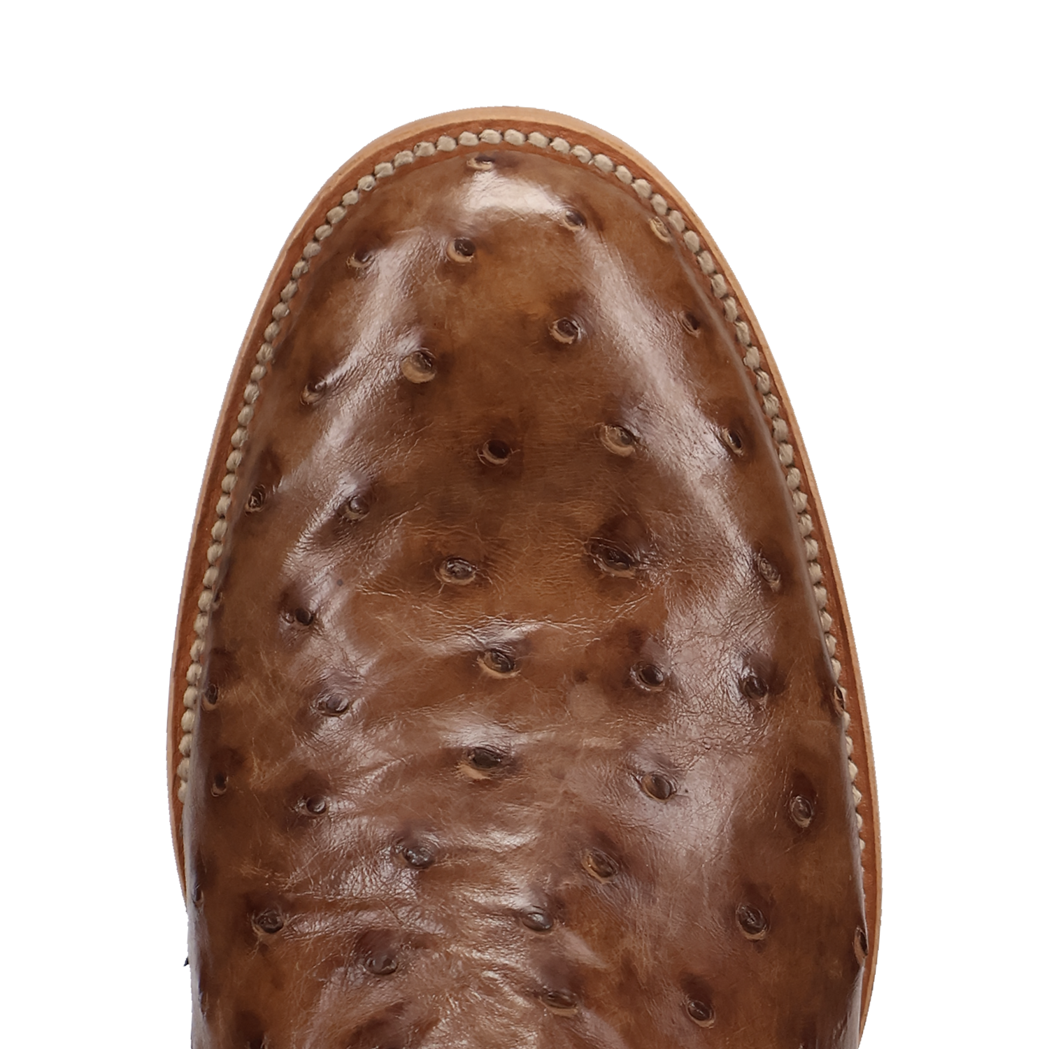 Dan Post Ardor Full Quill Ostrich Boot