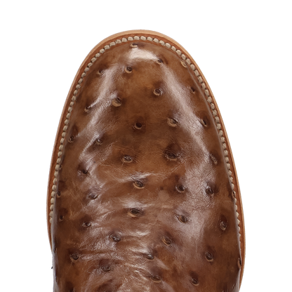 Dan Post Ardor Full Quill Ostrich Boot