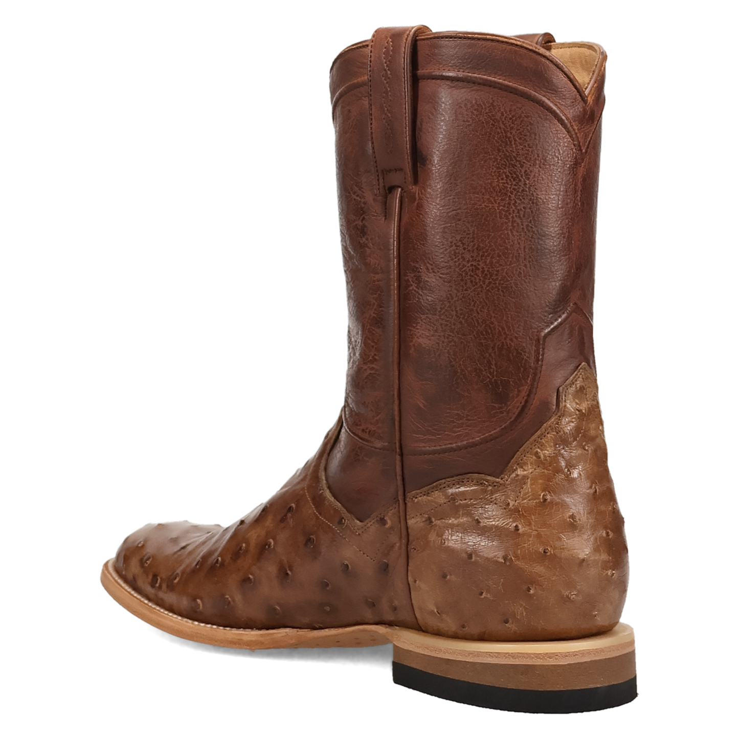 Dan Post Ardor Full Quill Ostrich Boot