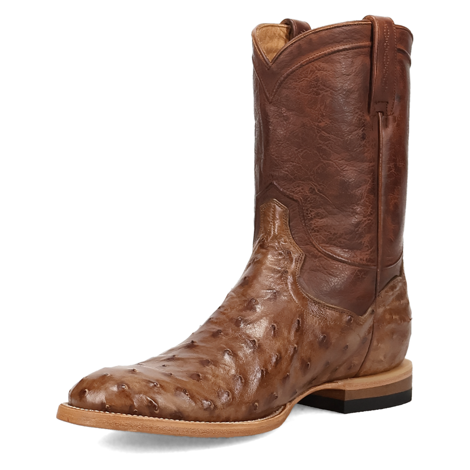 Dan Post Ardor Full Quill Ostrich Boot