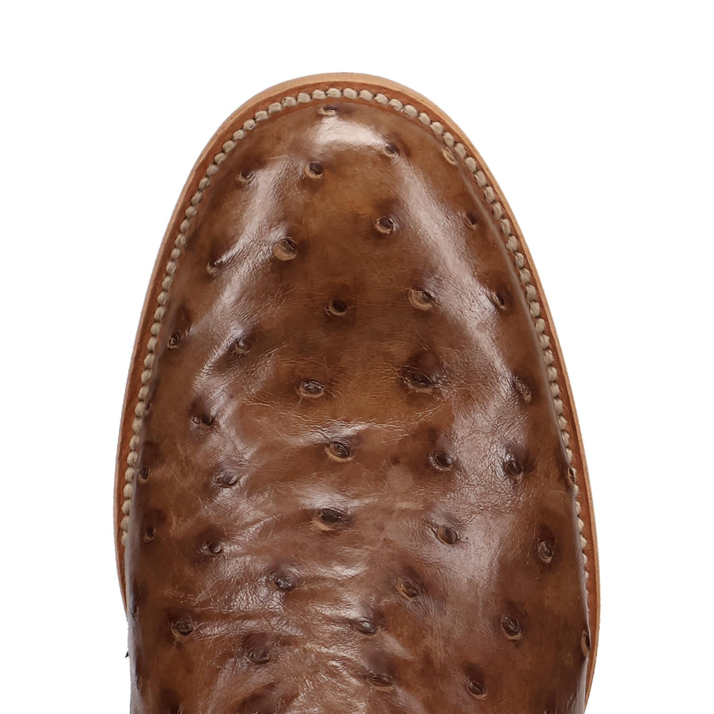 Dan Post Ardor Full Quill Ostrich Boot