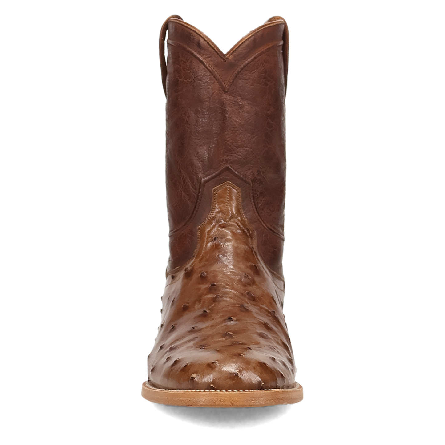 Dan Post Ardor Full Quill Ostrich Boot