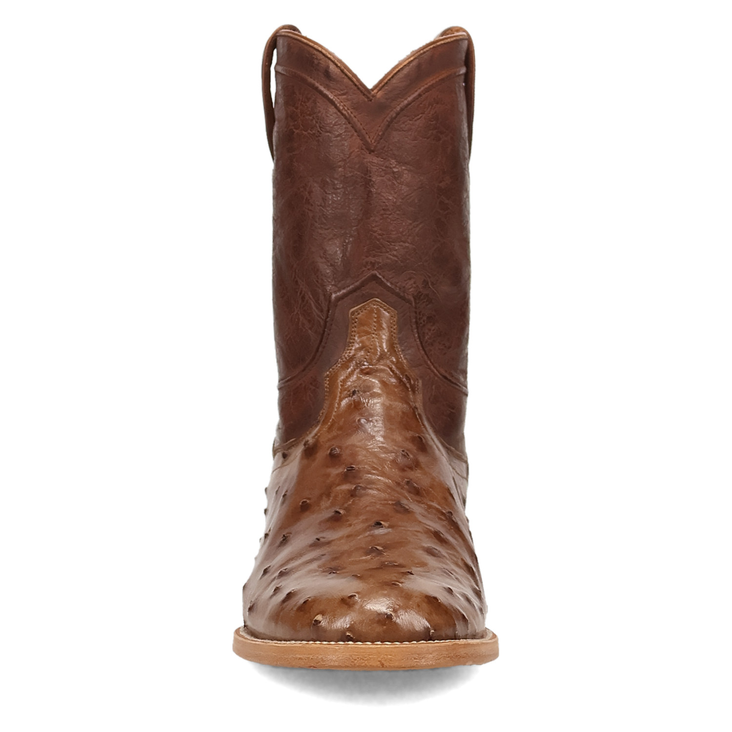 Dan Post Ardor Full Quill Ostrich Boot