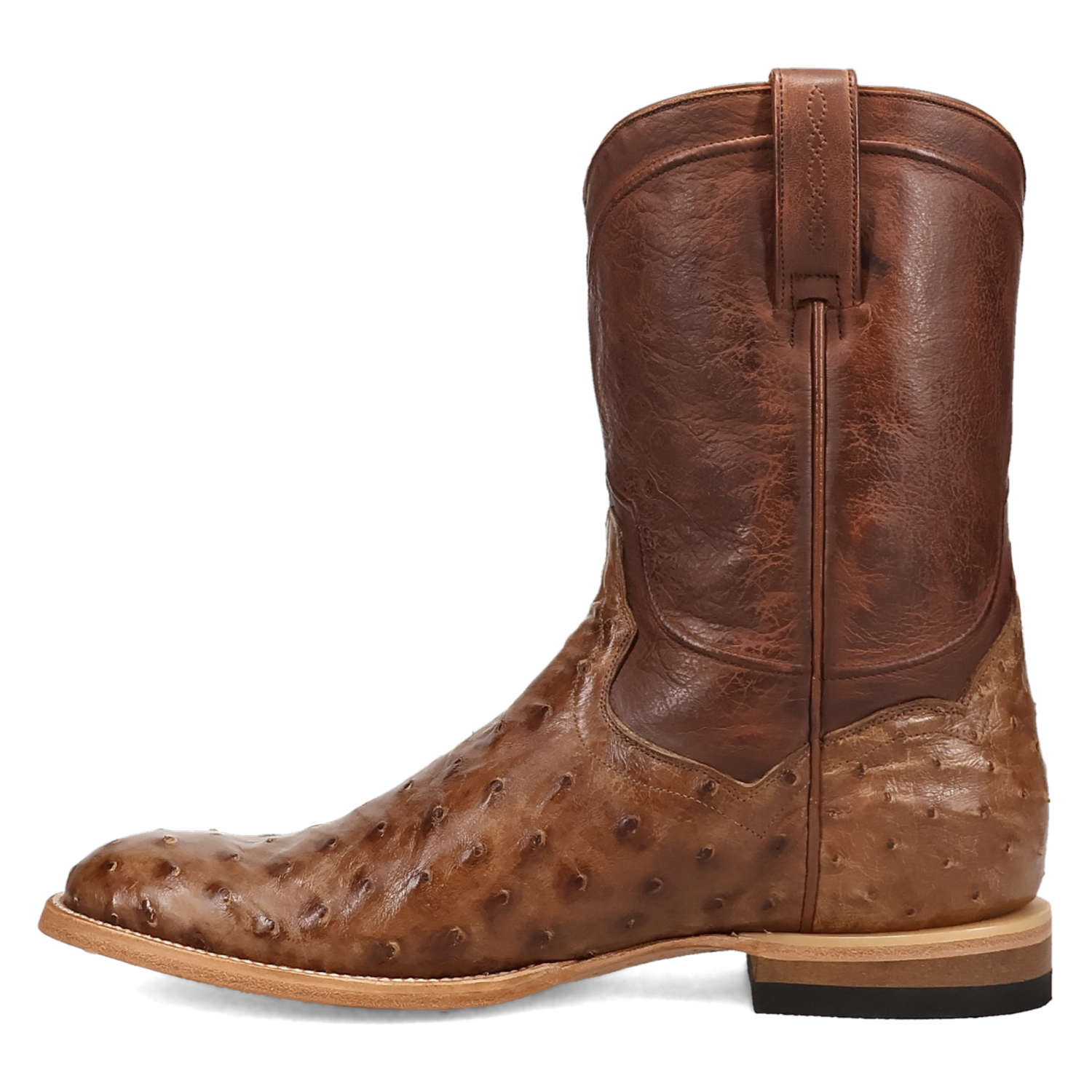 Dan Post Ardor Full Quill Ostrich Boot