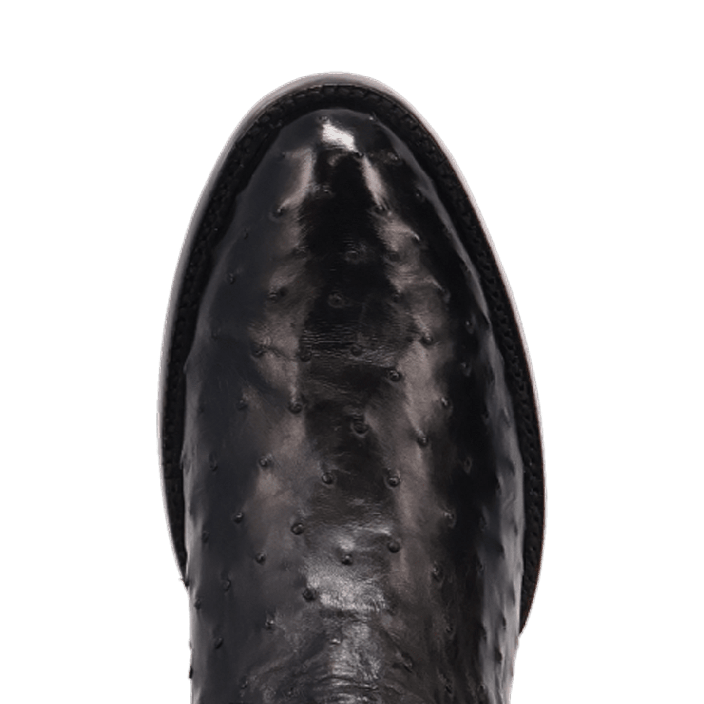 Dan Post Stanford Full Quill Ostrich Boot By Gld Label