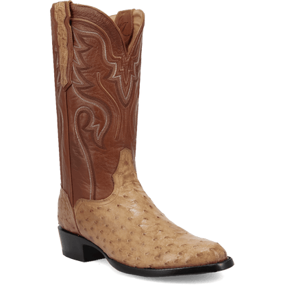 Saddle,7,D