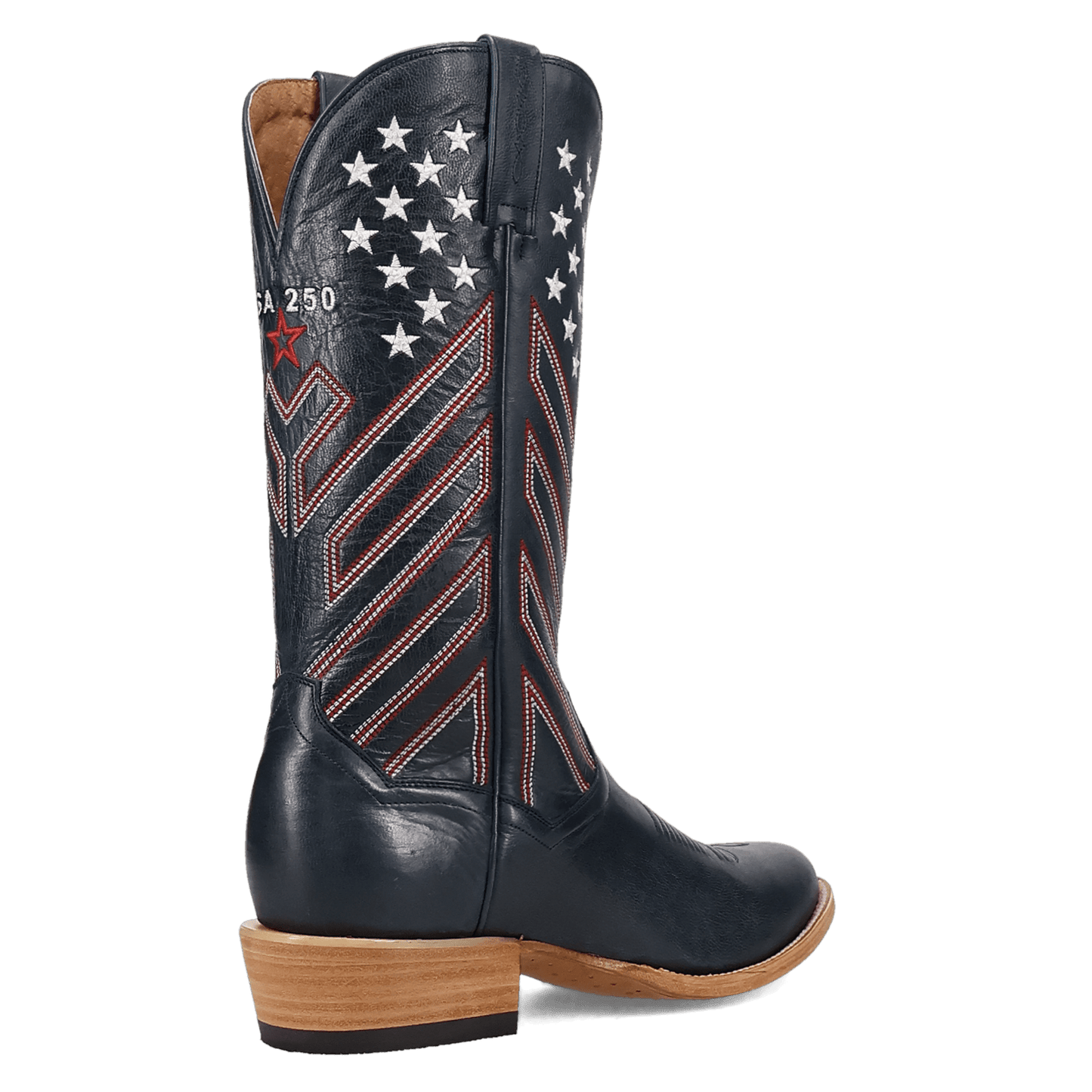 Dan Post America 250 Leather Boot