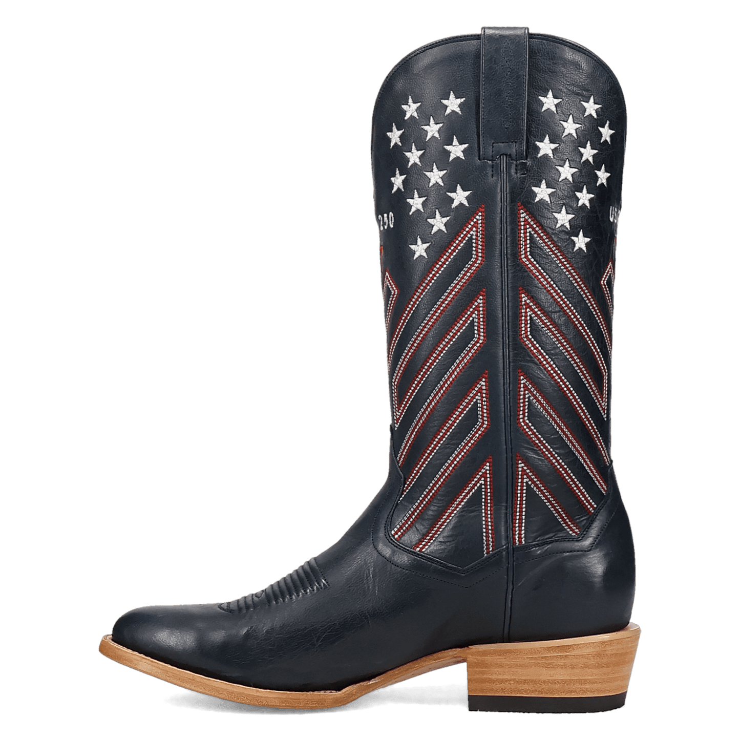 Dan Post America 250 Leather Boot