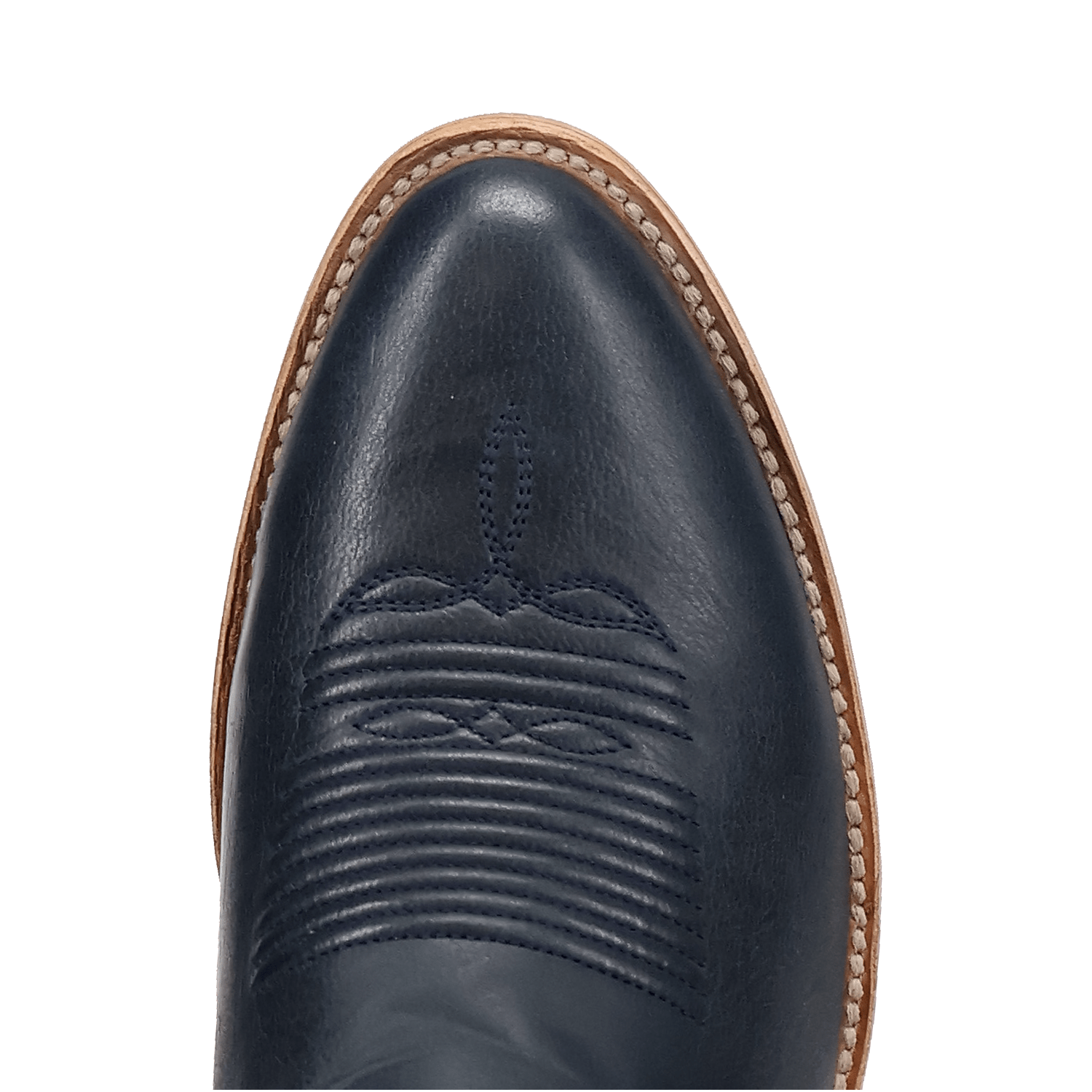 Dan Post America 250 Leather Boot