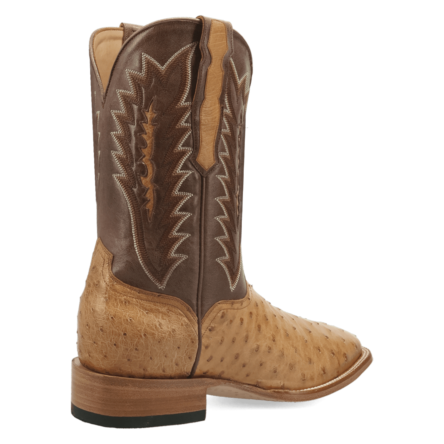 Dan Post Brannan Full Quill Ostrich Boot By Gld Label