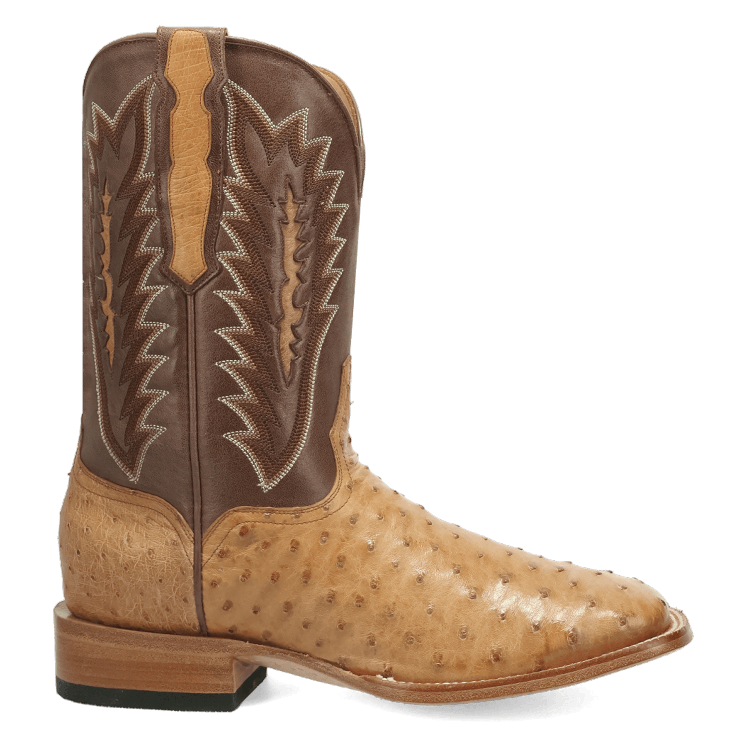 Dan Post Brannan Full Quill Ostrich Boot By Gld Label