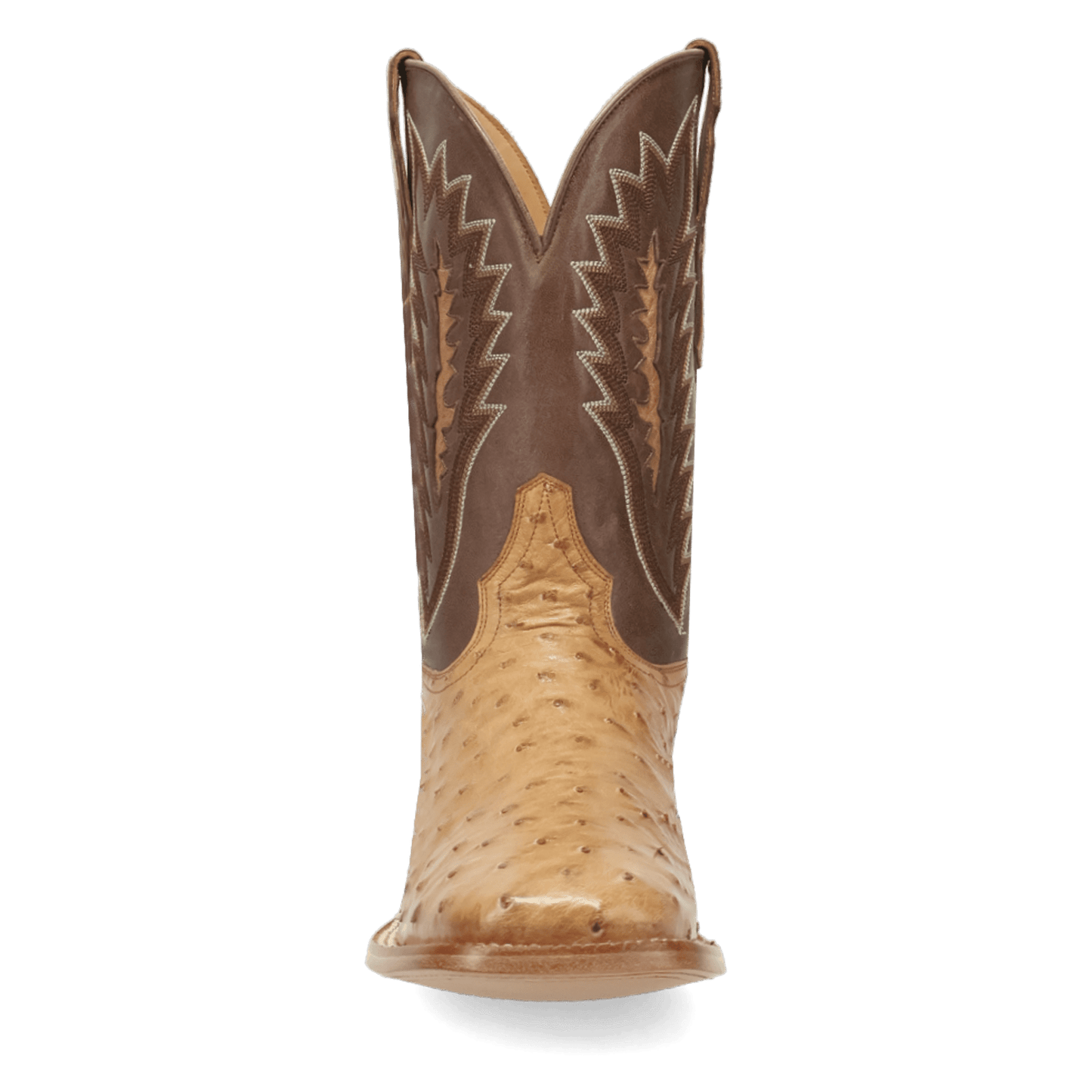 Dan Post Brannan Full Quill Ostrich Boot By Gld Label