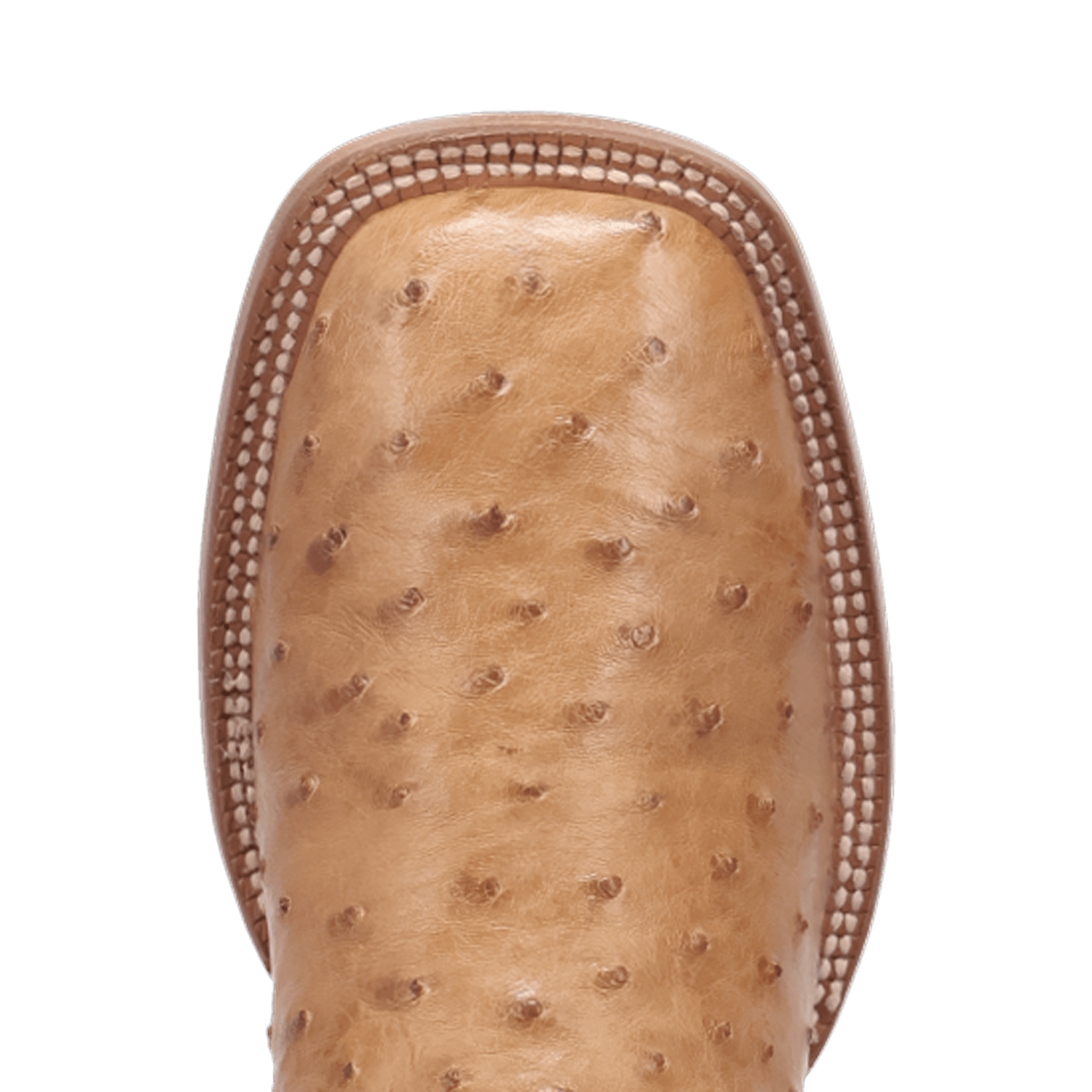Dan Post Brannan Full Quill Ostrich Boot By Gld Label