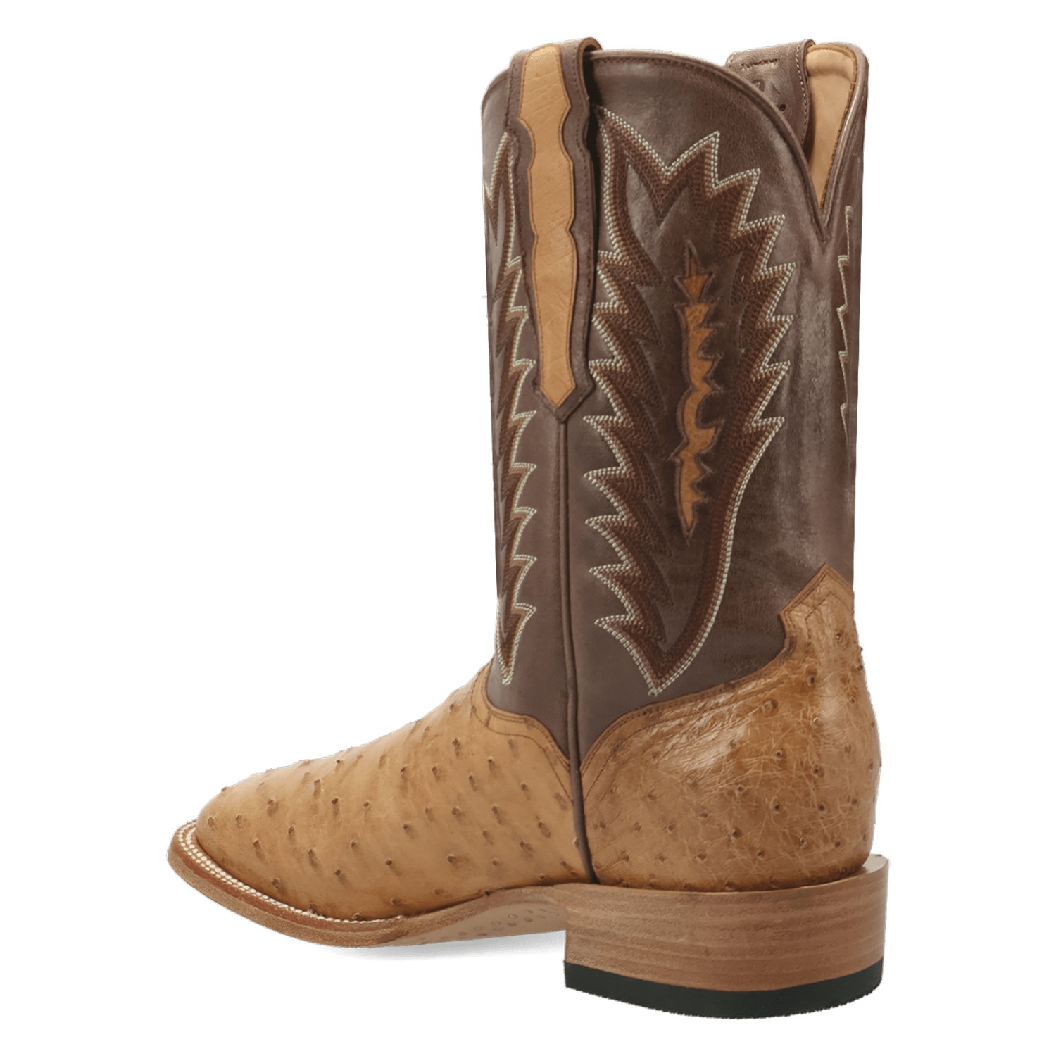 Dan Post Brannan Full Quill Ostrich Boot By Gld Label