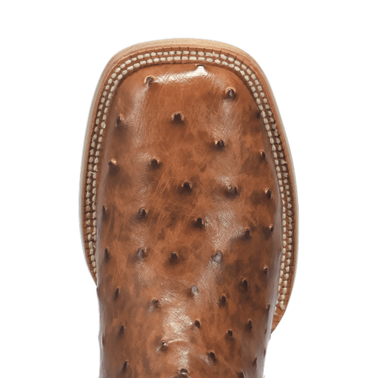 Dan Post Brannan Full Quill Ostrich Boot By Gld Label