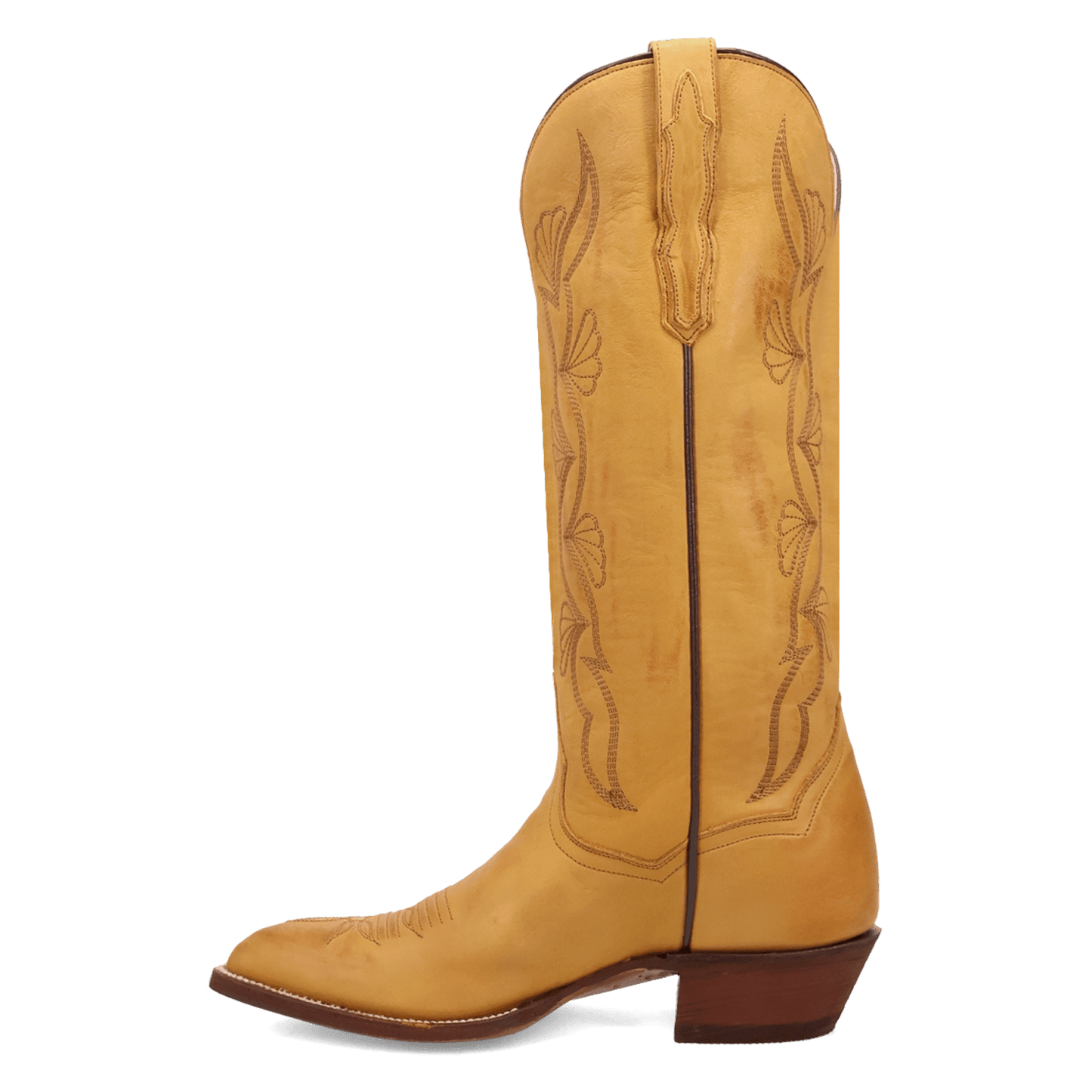 Dan Post Sunrise Canyon Leather Boot