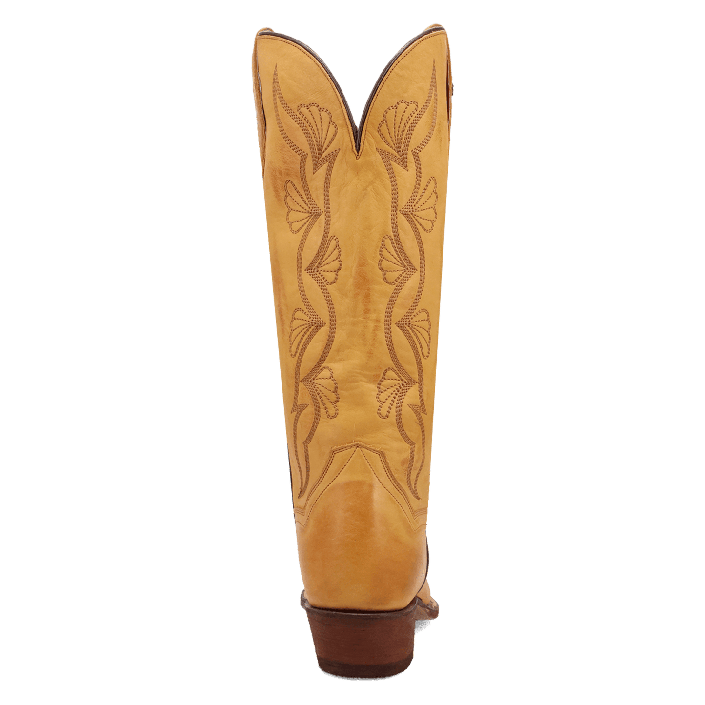 Dan Post Sunrise Canyon Leather Boot
