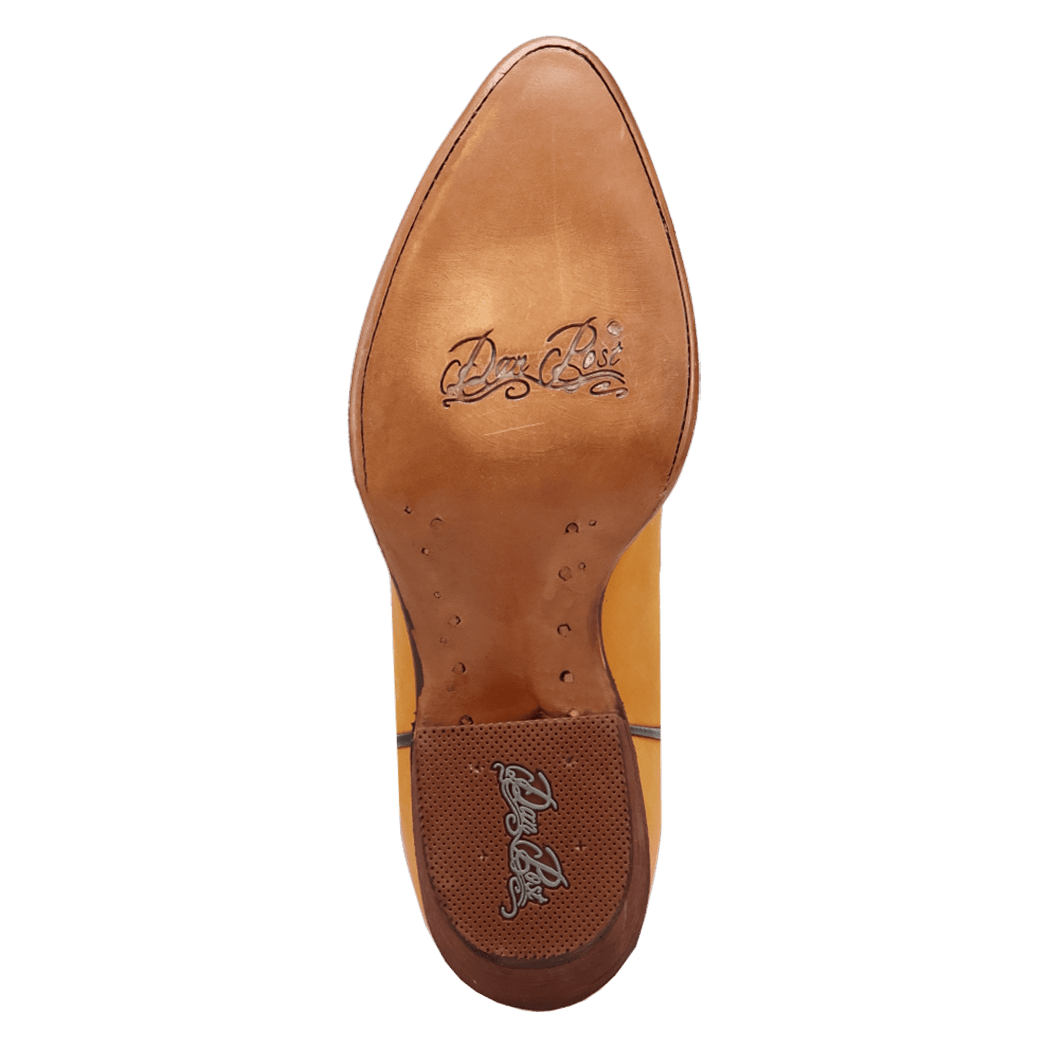 Dan Post Sunrise Canyon Leather Boot
