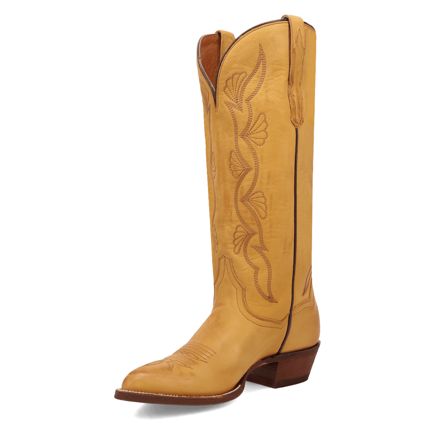Dan Post Sunrise Canyon Leather Boot
