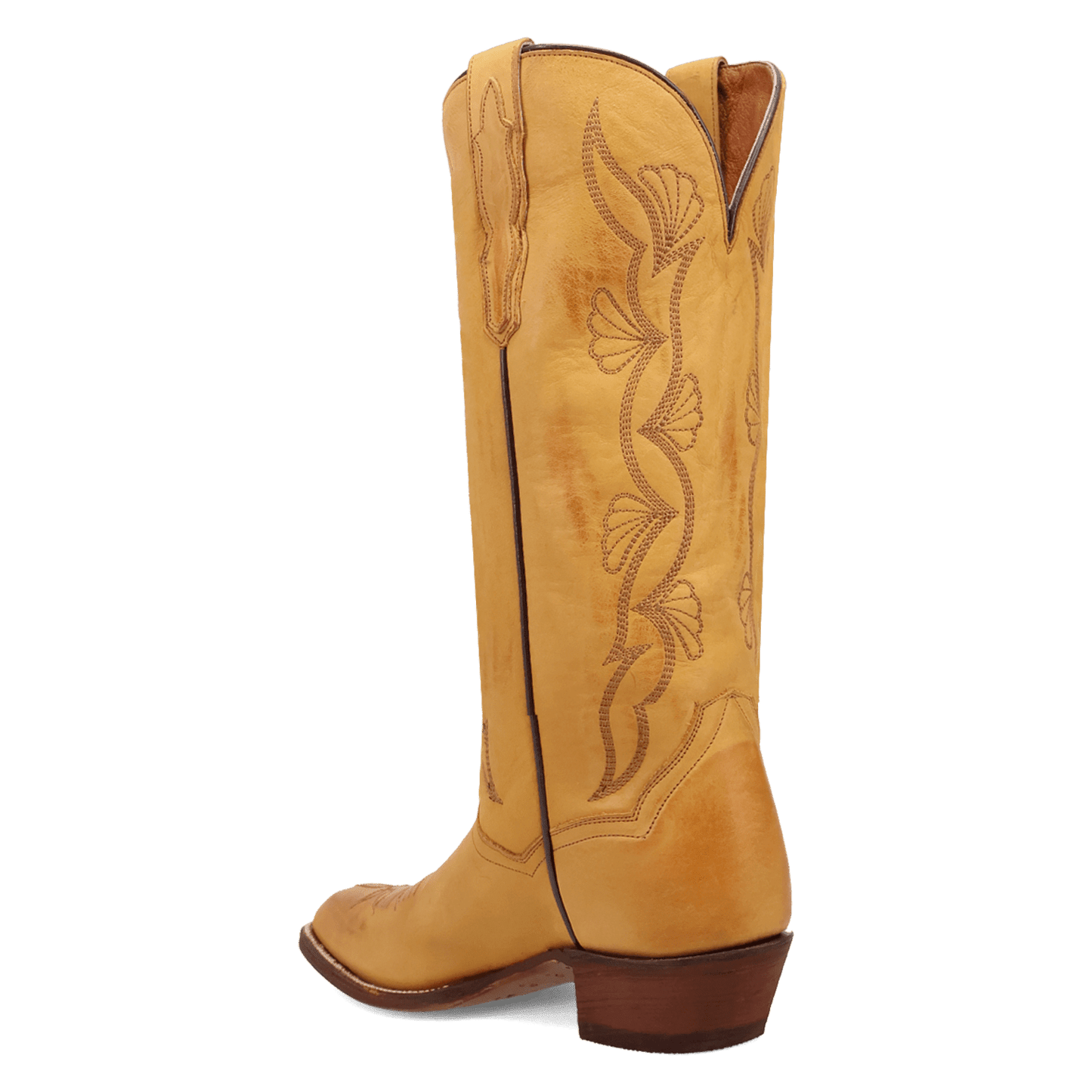 Dan Post Sunrise Canyon Leather Boot