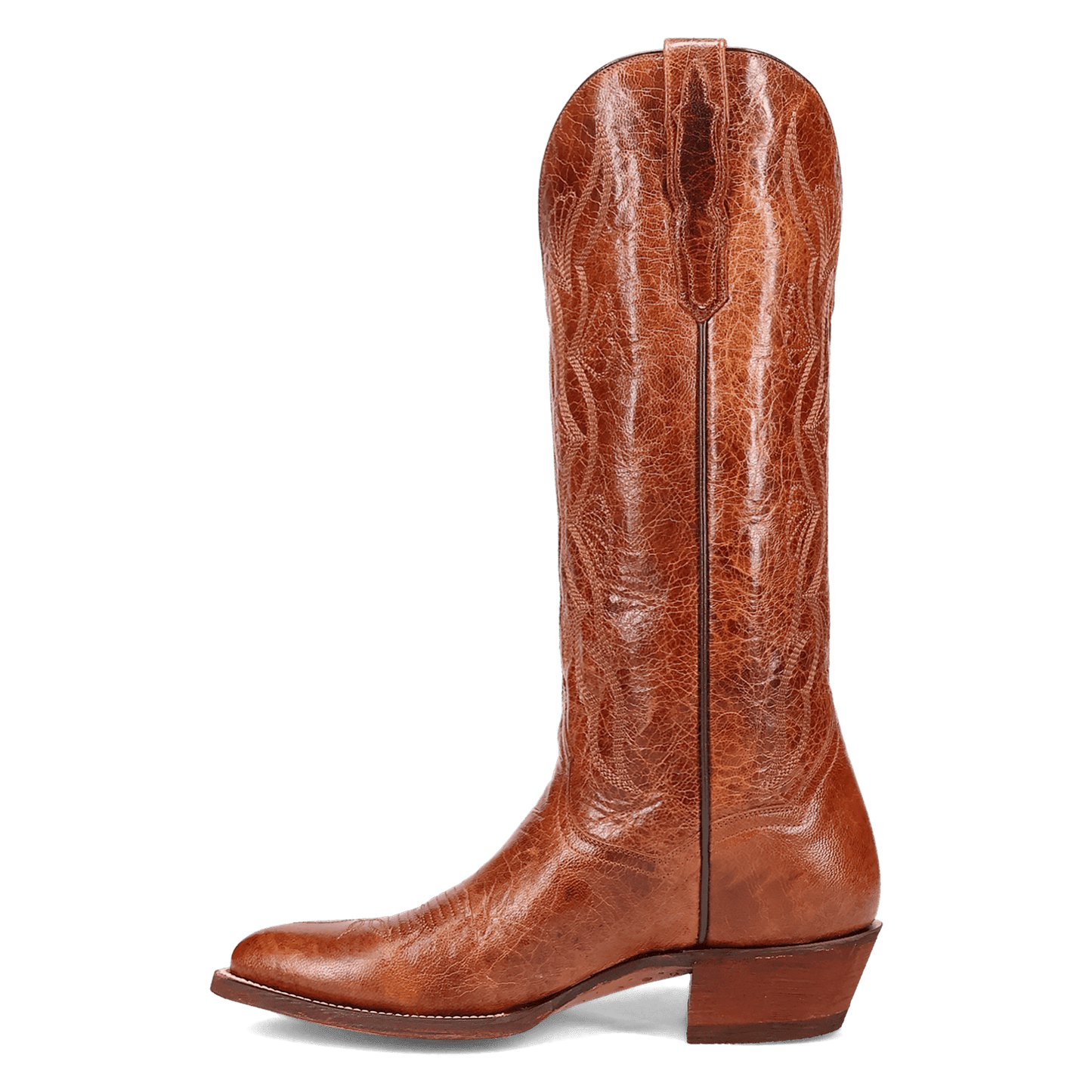Dan Post Sunrise Canyon Leather Boot