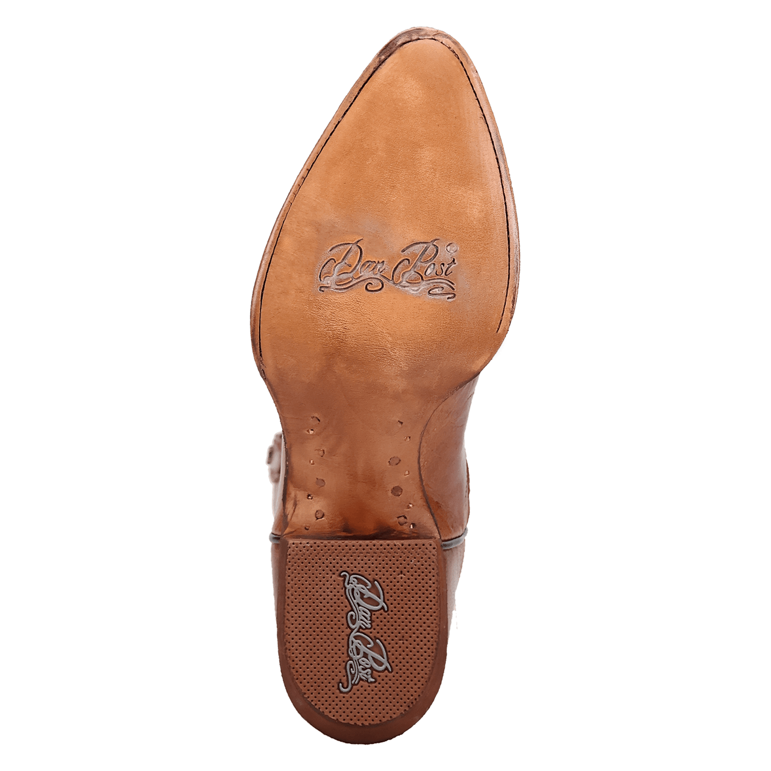 Dan Post Sunrise Canyon Leather Boot