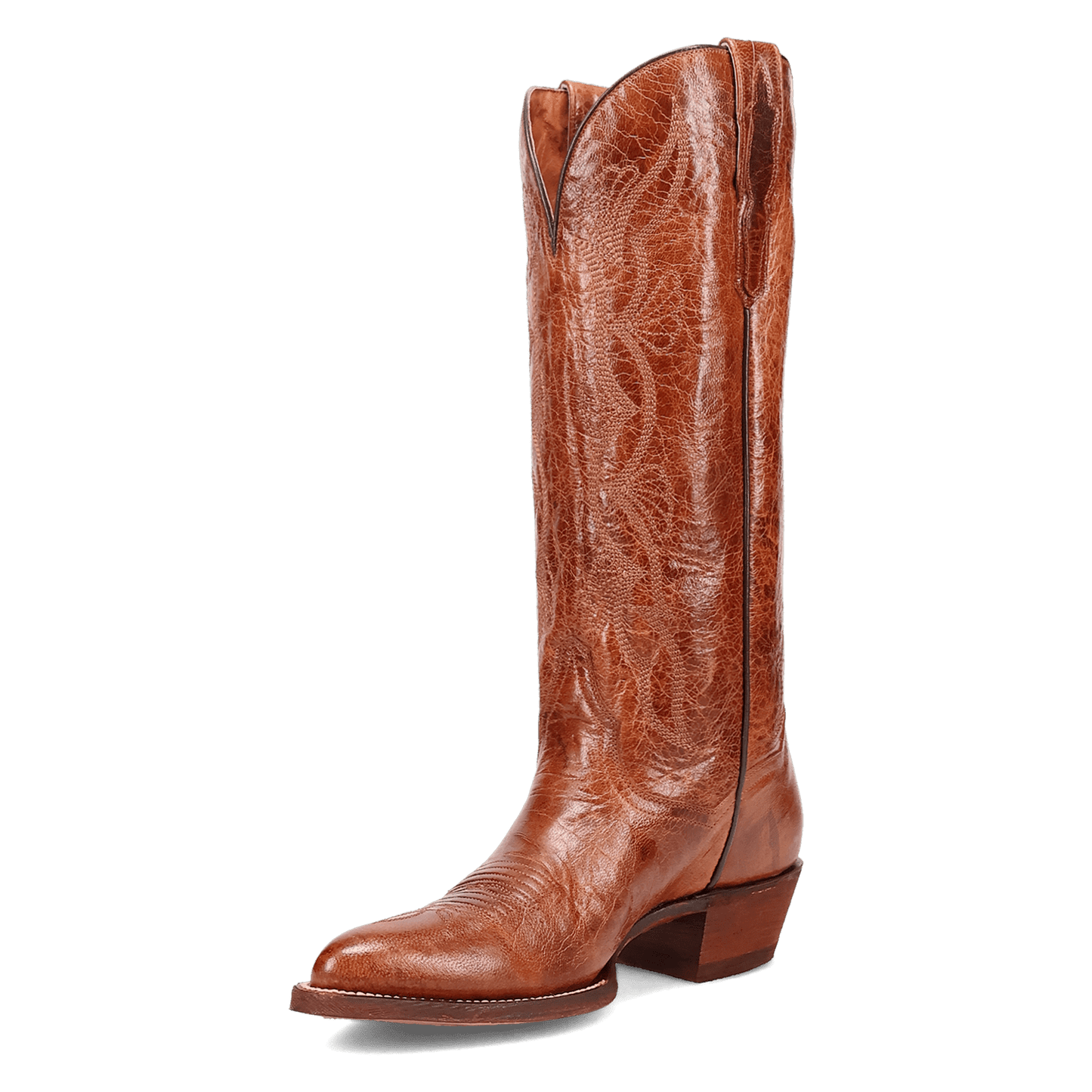 Dan Post Sunrise Canyon Leather Boot