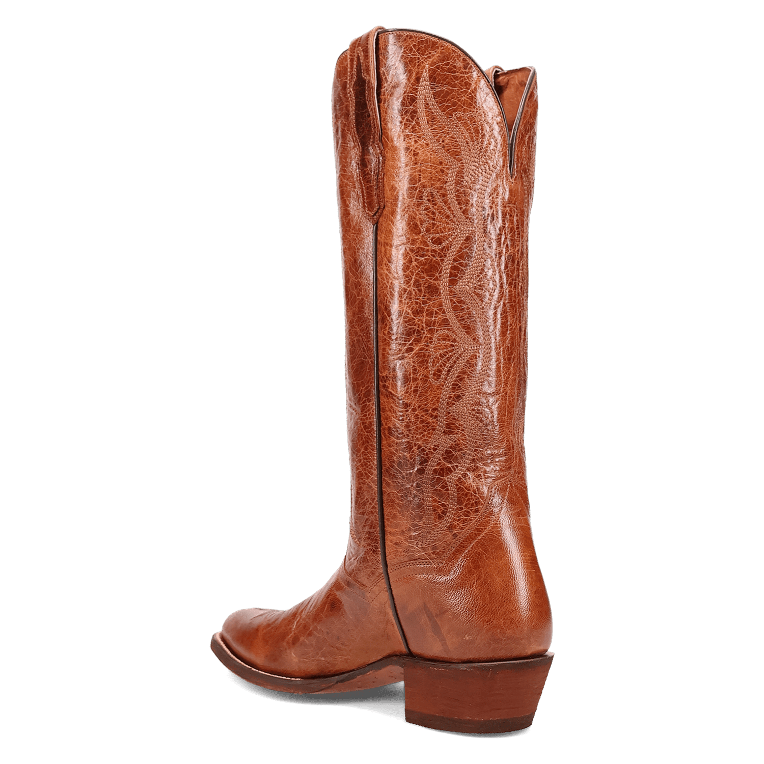 Dan Post Sunrise Canyon Leather Boot