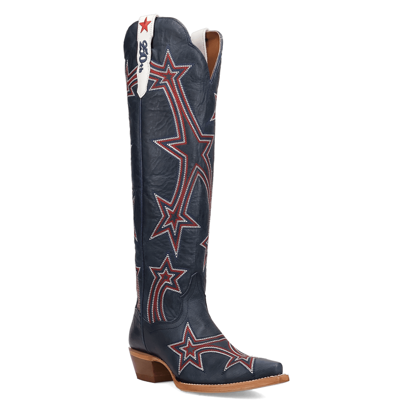 Dan Post America 250 Leather Boot