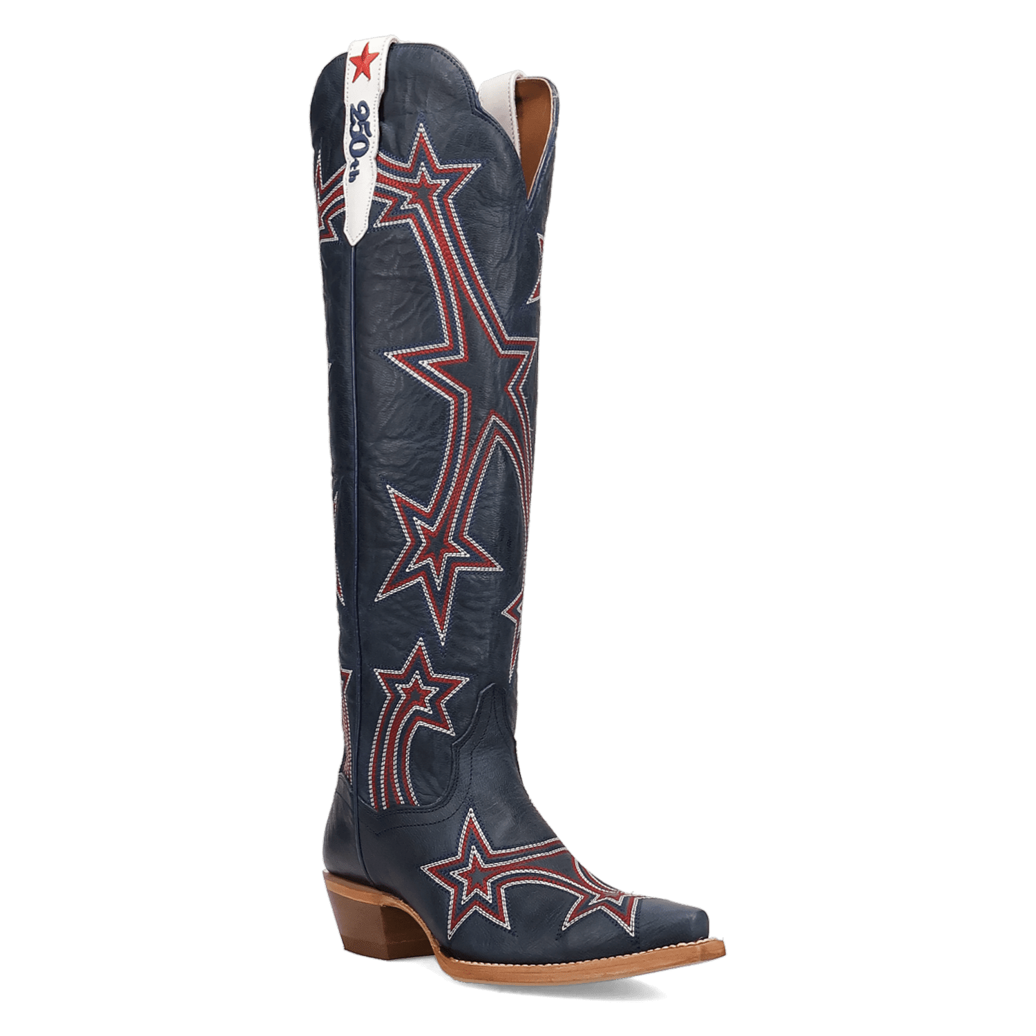 Dan Post America 250 Leather Boot