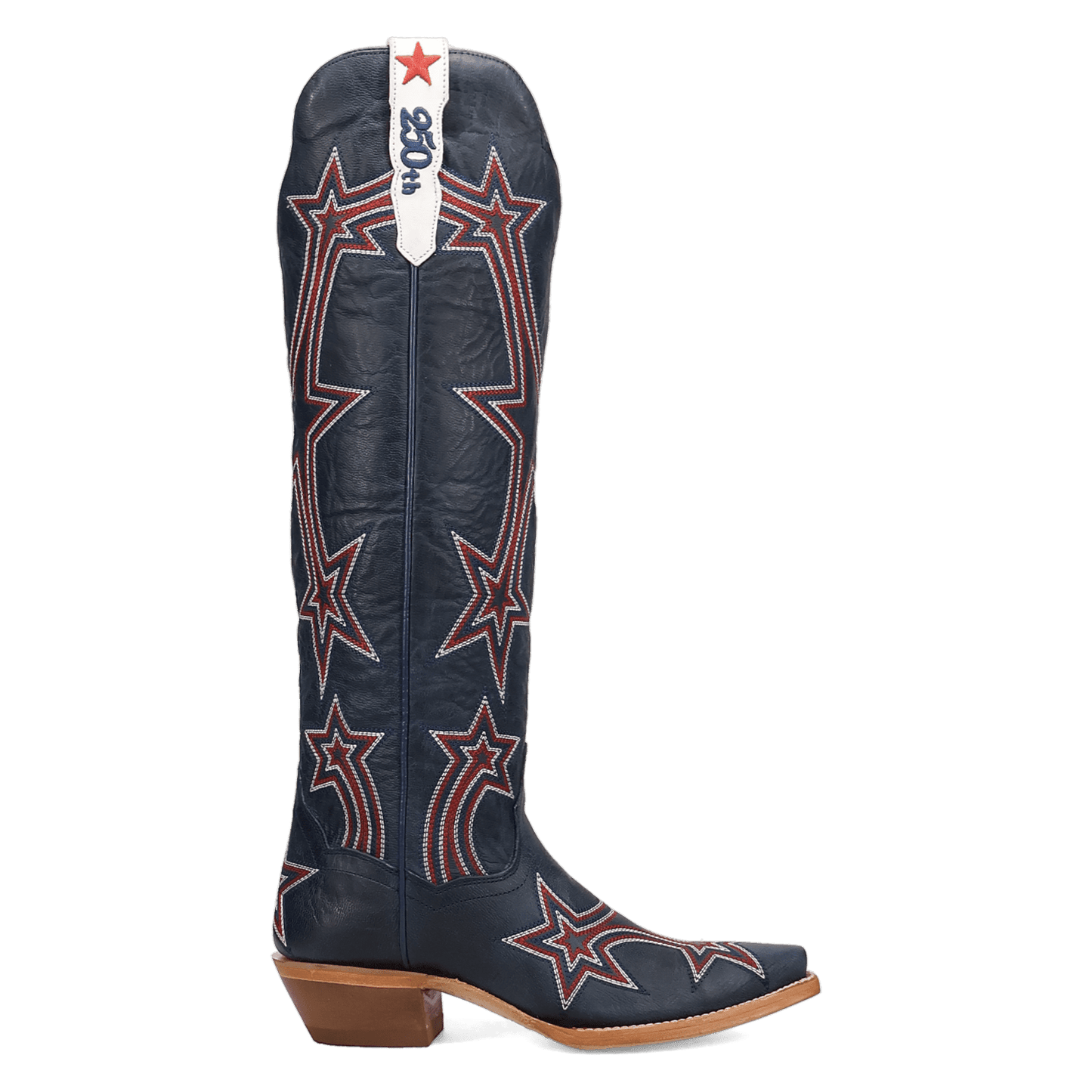 Dan Post America 250 Leather Boot
