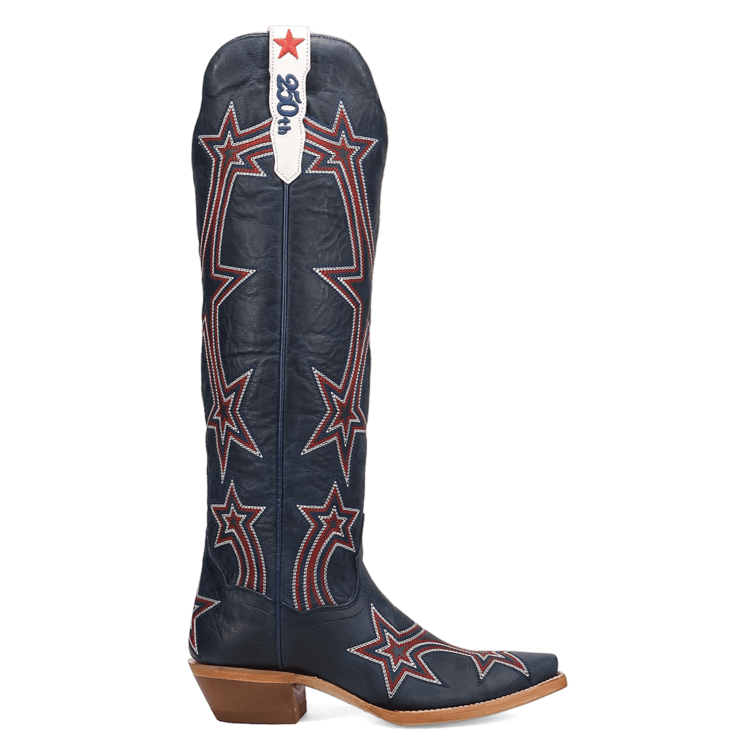 Dan Post America 250 Leather Boot
