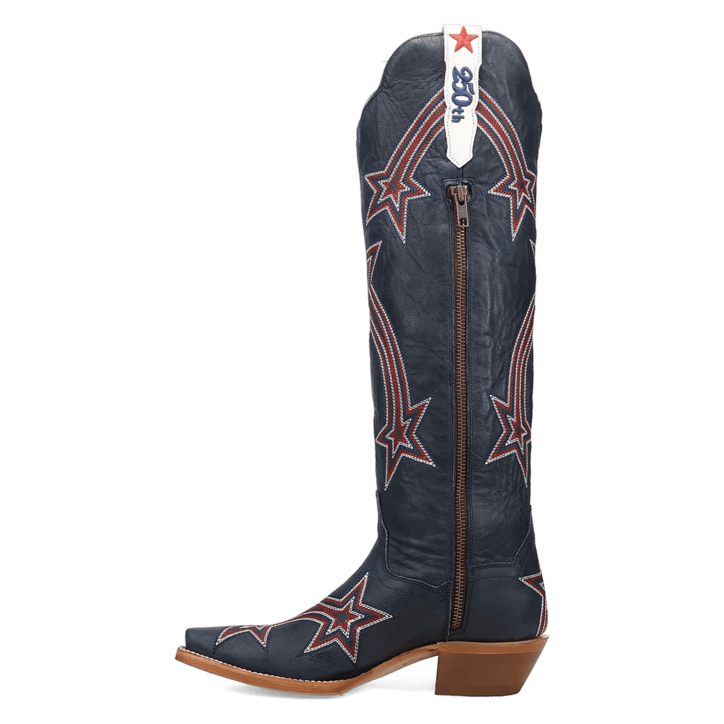 Dan Post America 250 Leather Boot