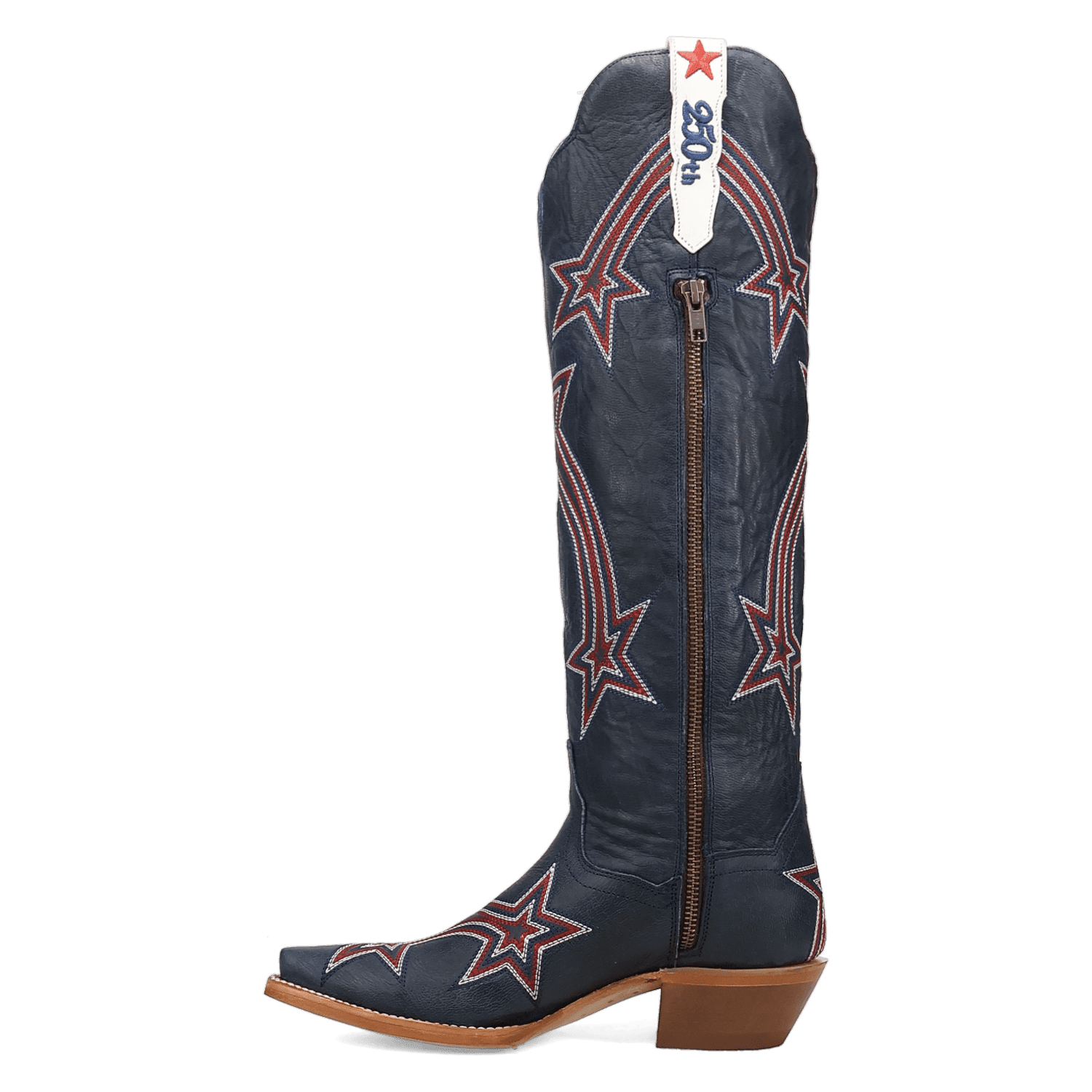Dan Post America 250 Leather Boot