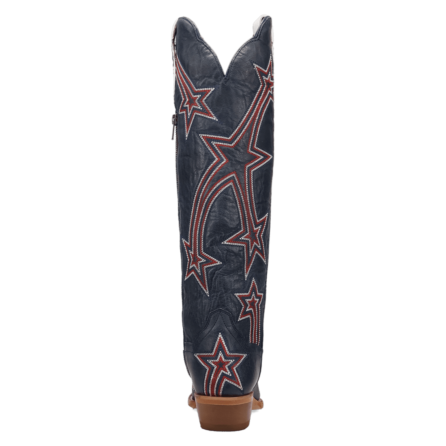 Dan Post America 250 Leather Boot