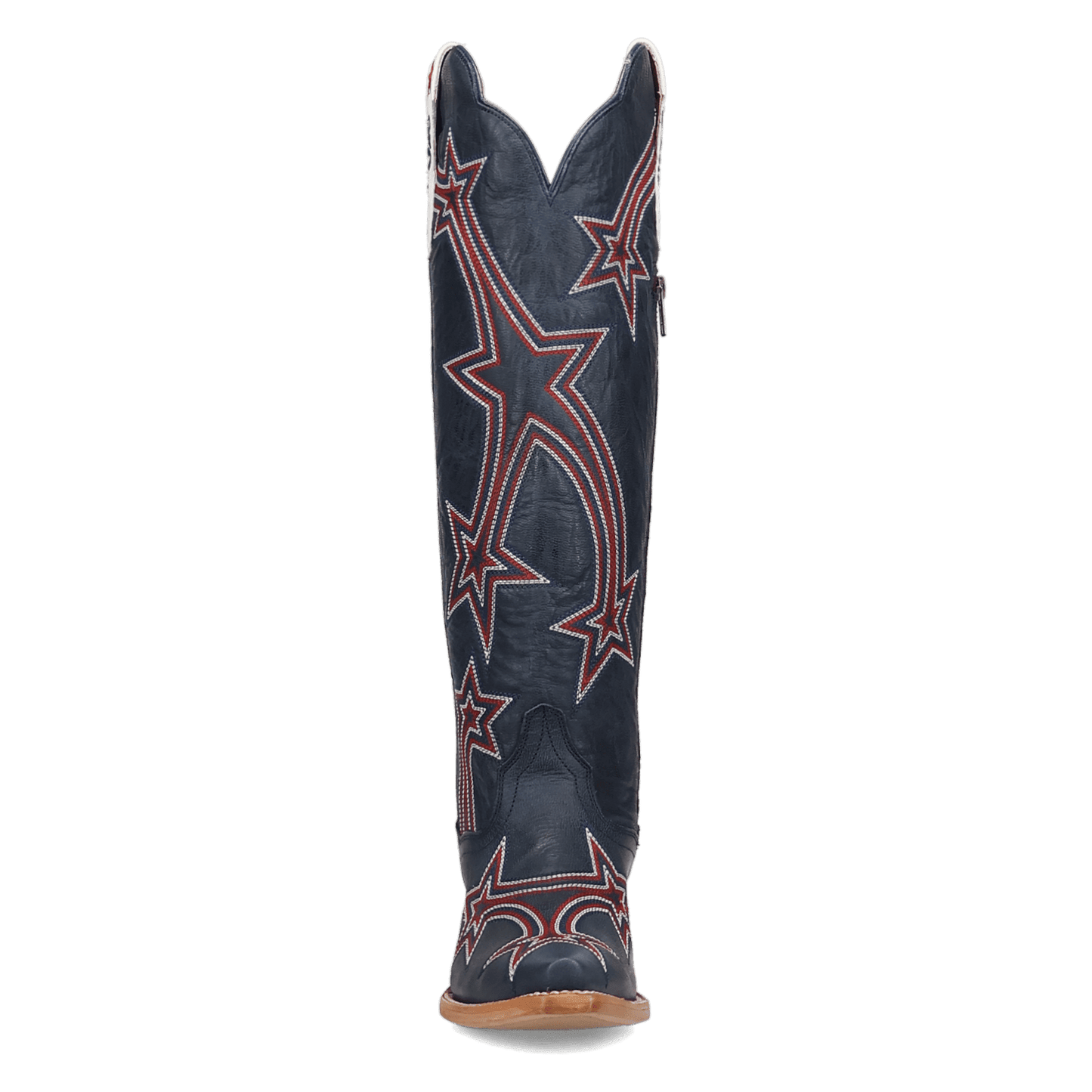 Dan Post America 250 Leather Boot