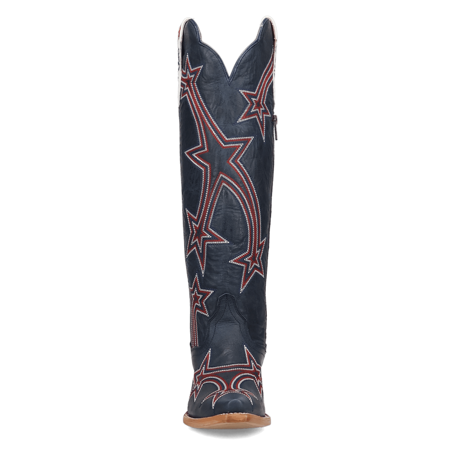 Dan Post America 250 Leather Boot